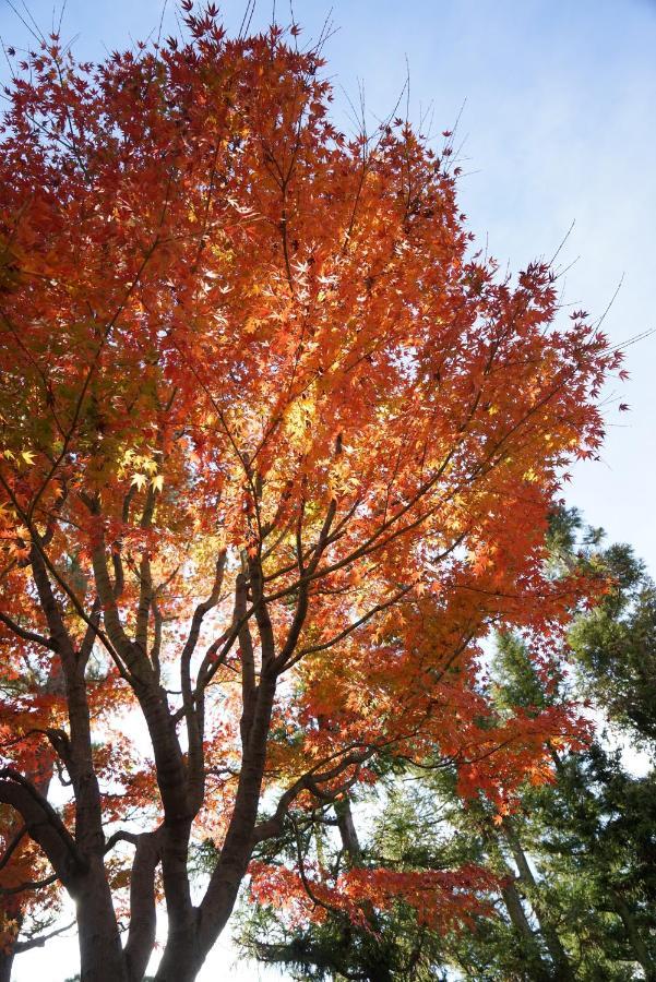 Japaning Senkyu Holiday home