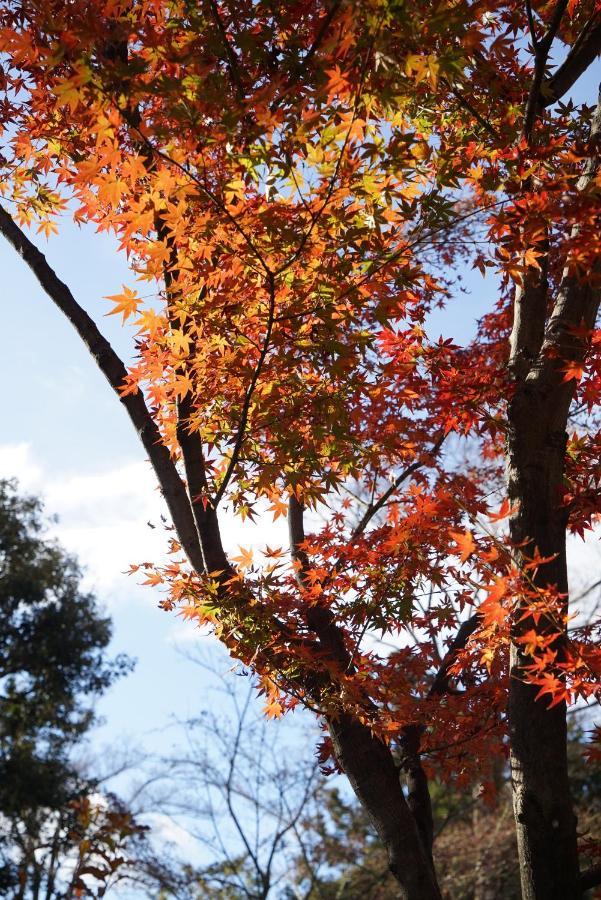 Holiday home Japaning Senkyu Kyoto