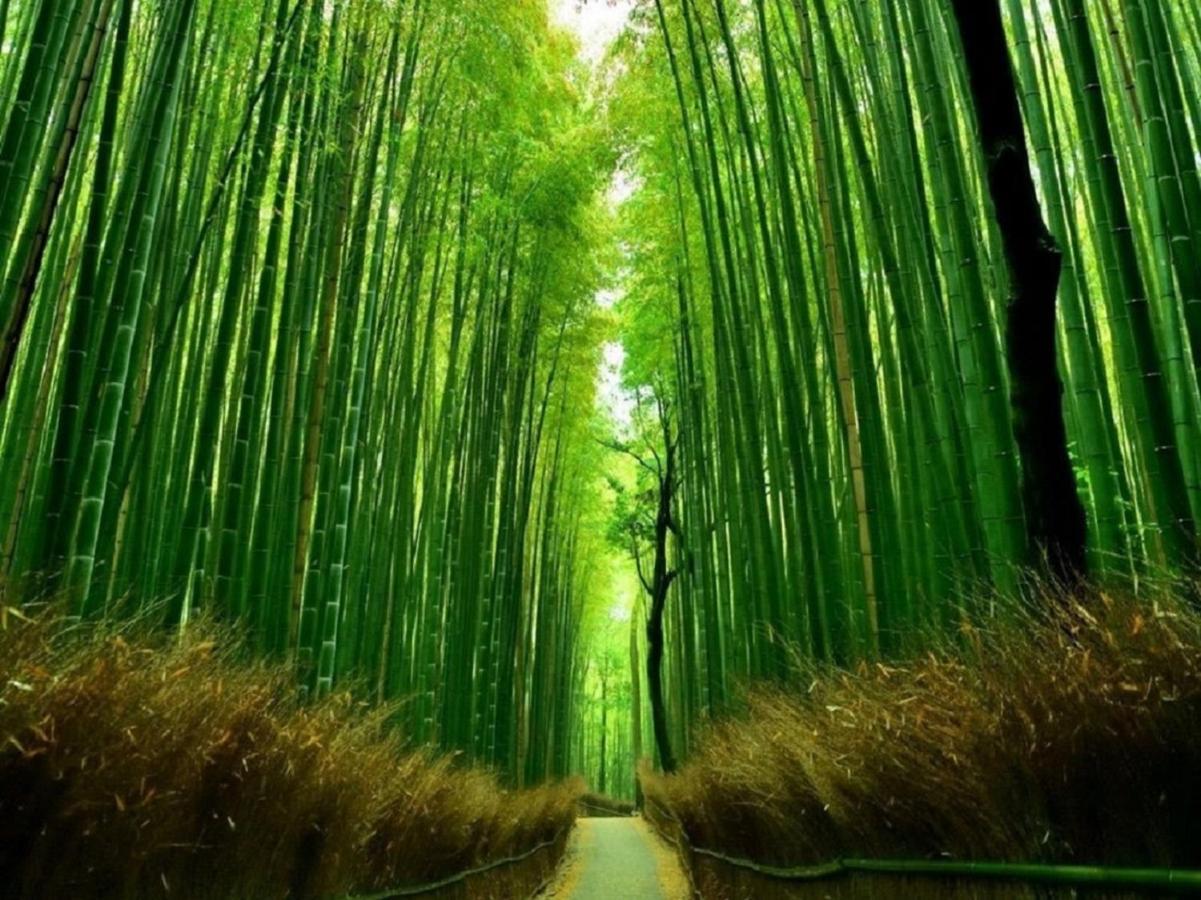 行灯離れ京都五条 Andon Hanare Gojo Holiday home