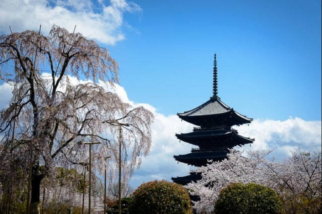 京乃怡 Yorokobu