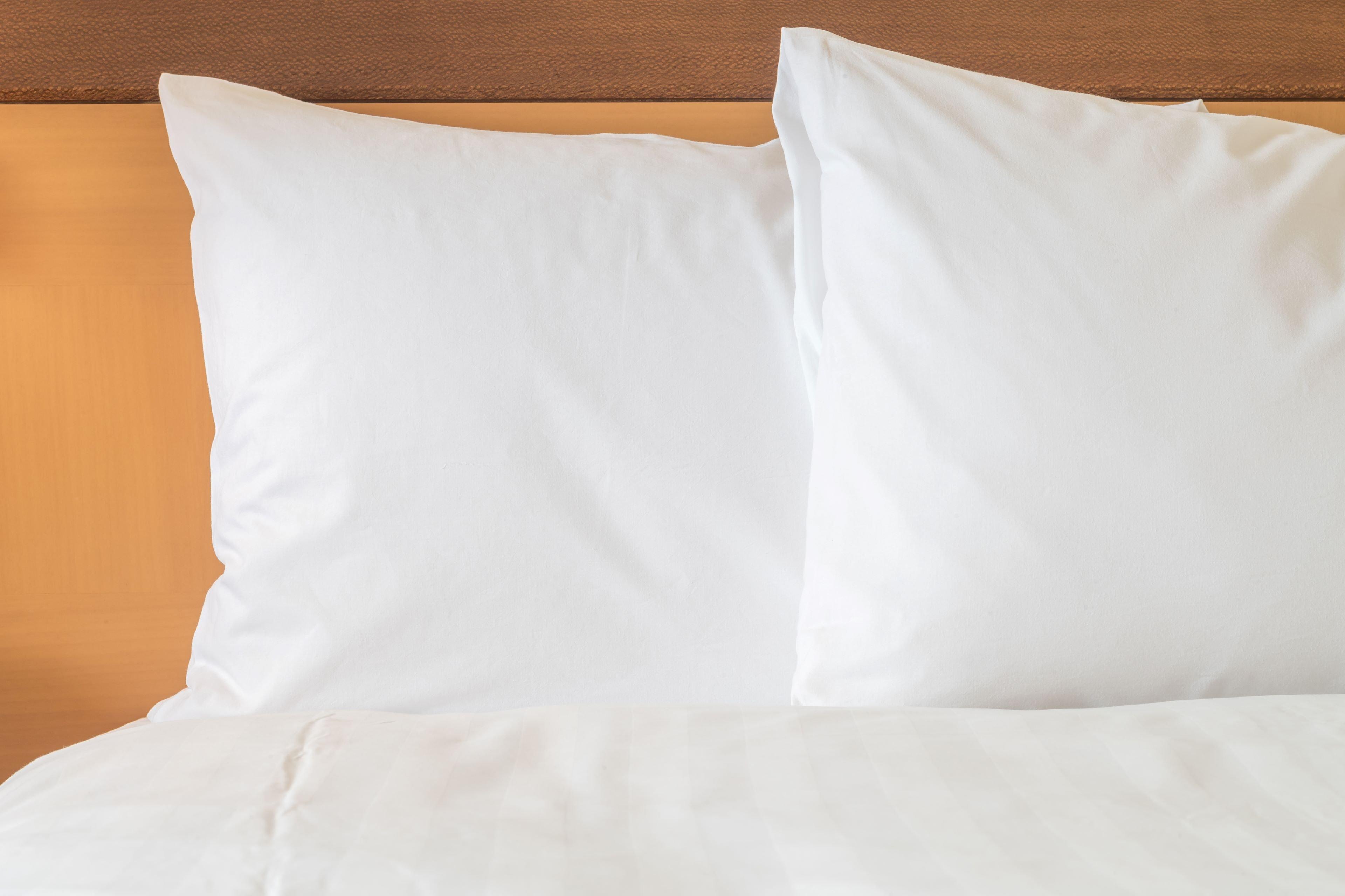 Hotel Ana Crowne Plaza By Ihg