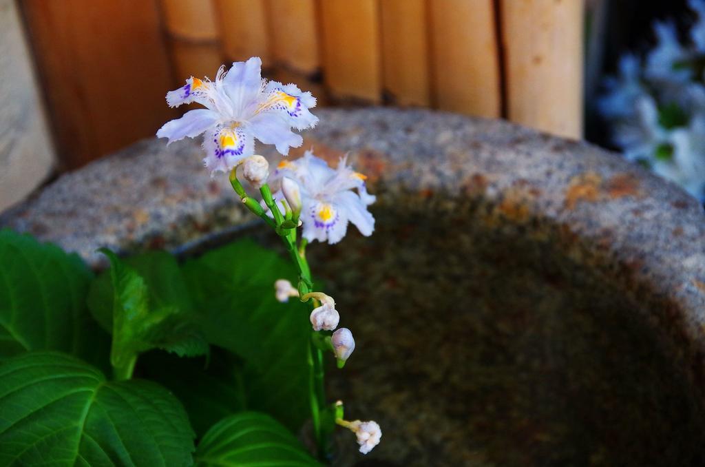Yadoya Manjiro Ryokan Kyoto