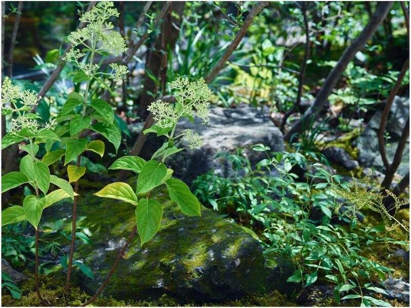 Hotel Mitsui Garden Station 4*