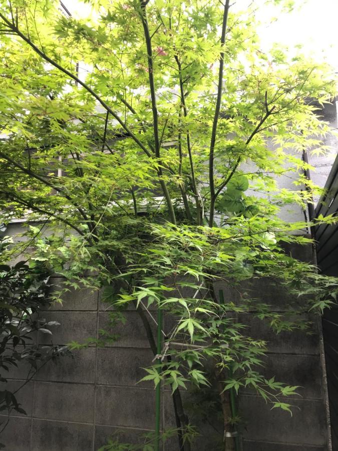 Villa Lanlan Kyoto