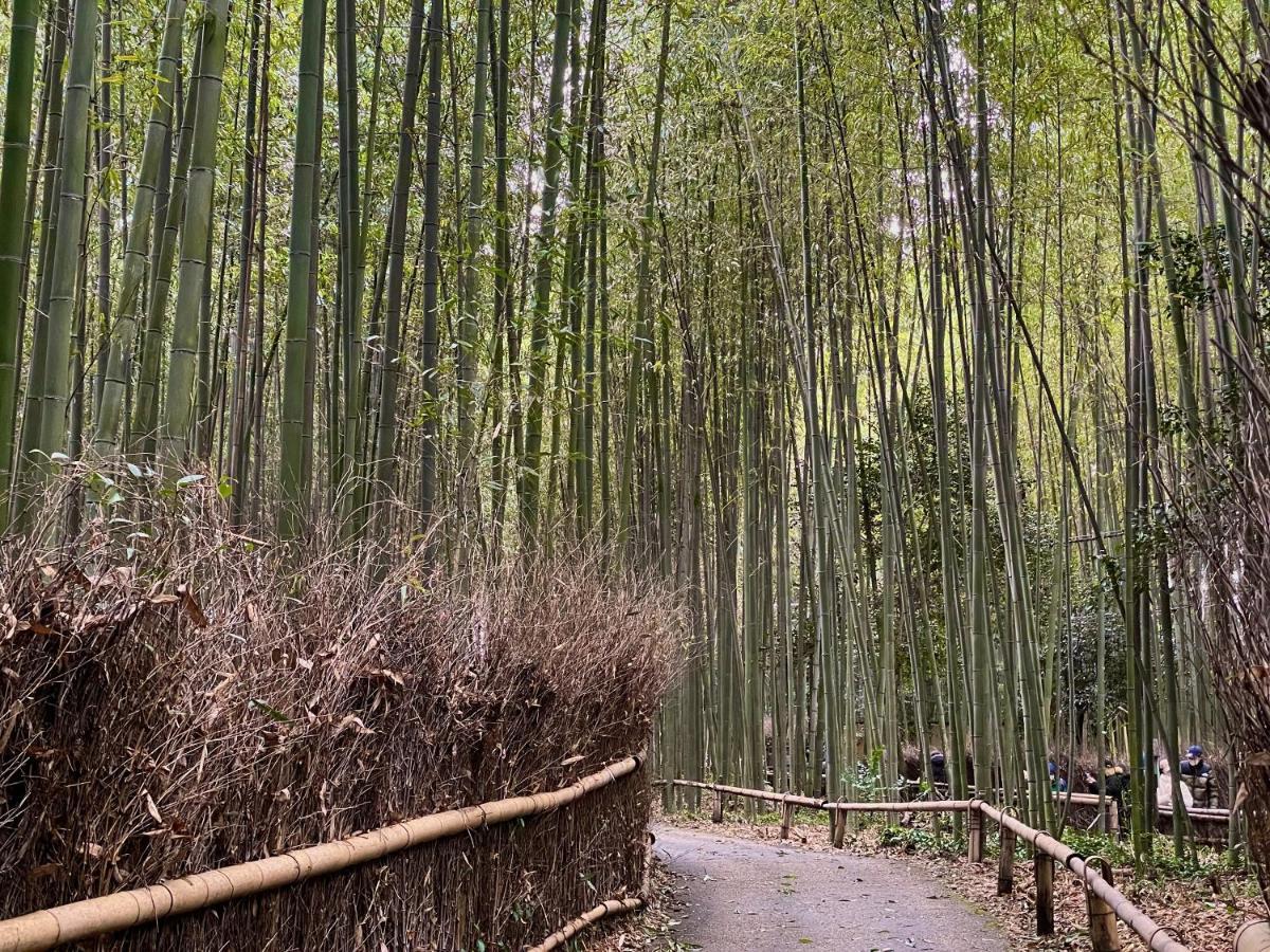 Yado Arashiyama 3*