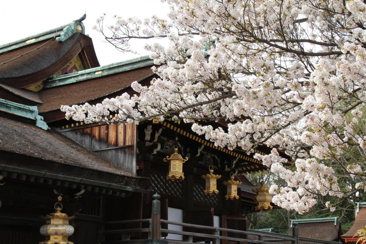 Aparthotel Sakura Nijo Rikyu