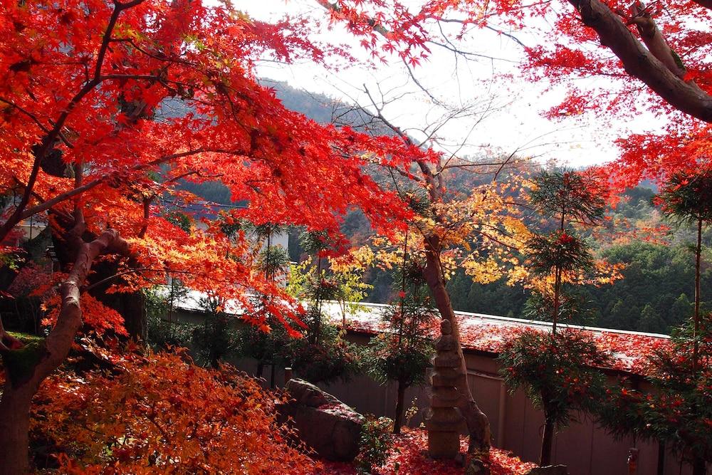 Nenrinbo Kyoto