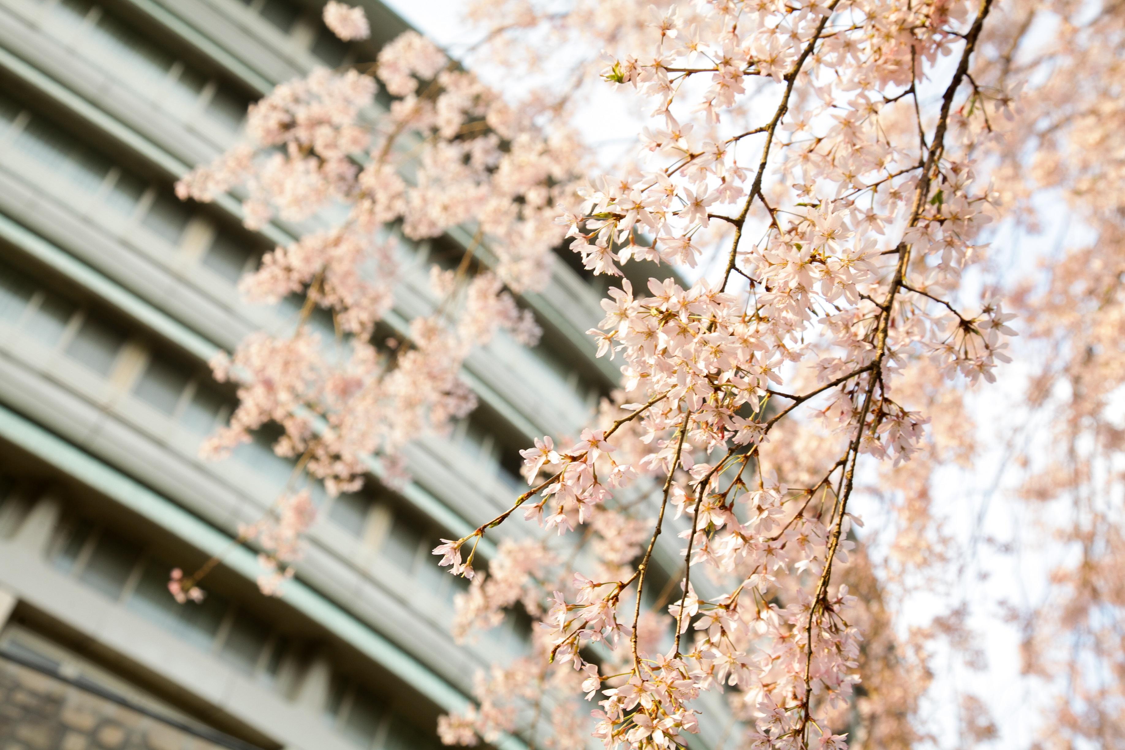 The Prince Takaragaike, Autograph Collection Hotel
