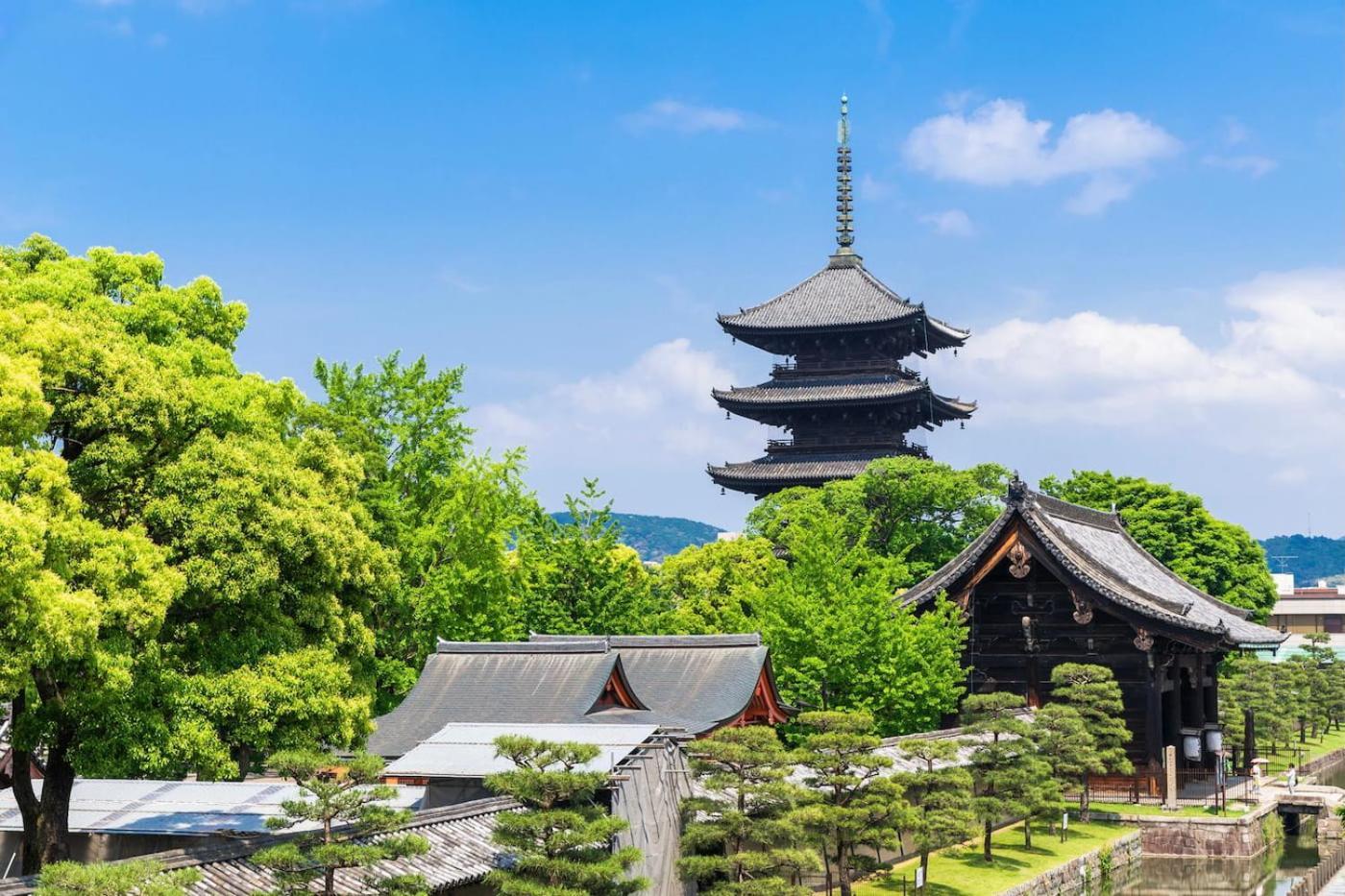 柏東寺1 Hakutoji1 Holiday home