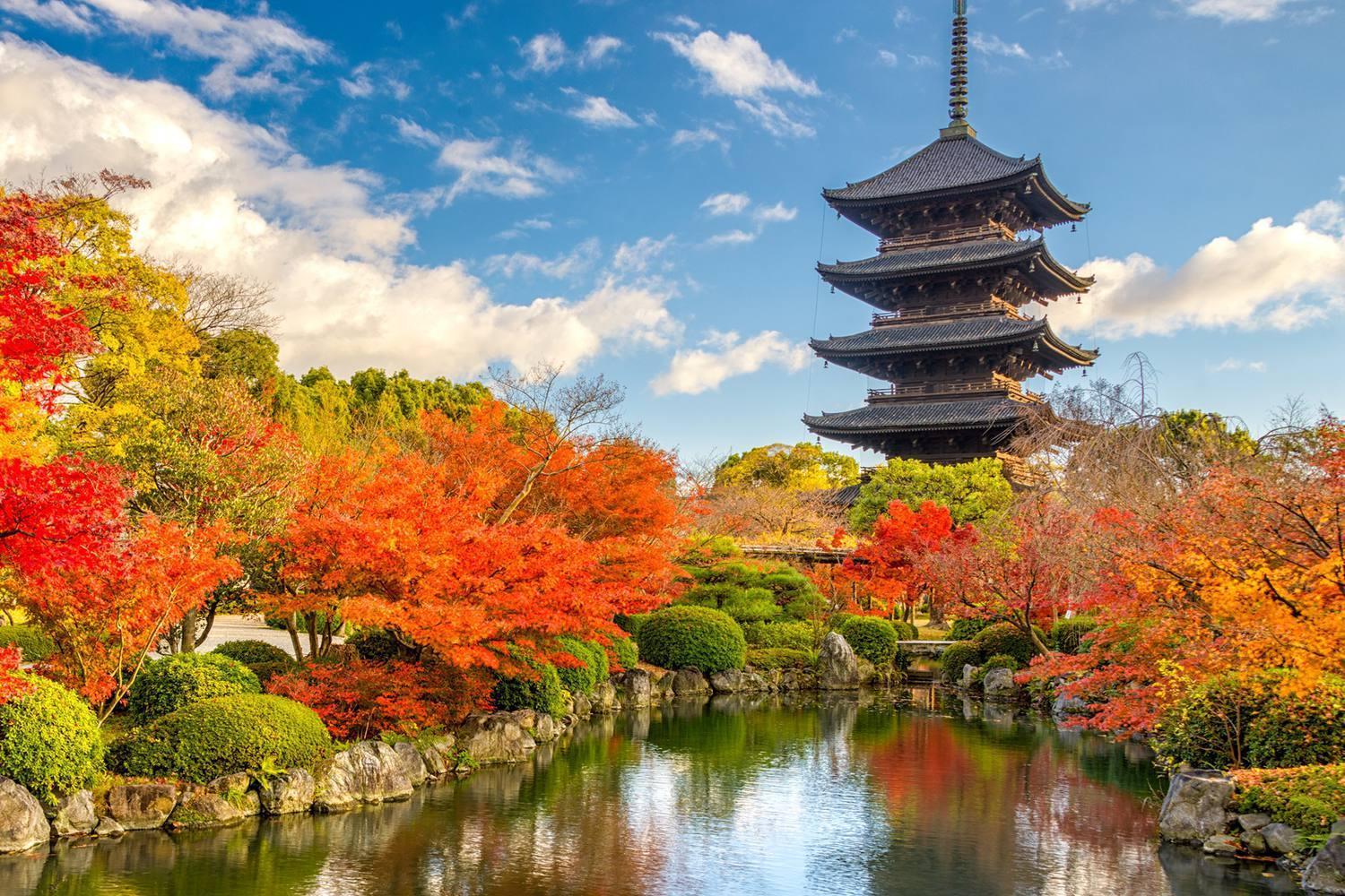 柏東寺1 Hakutoji1 Kyoto