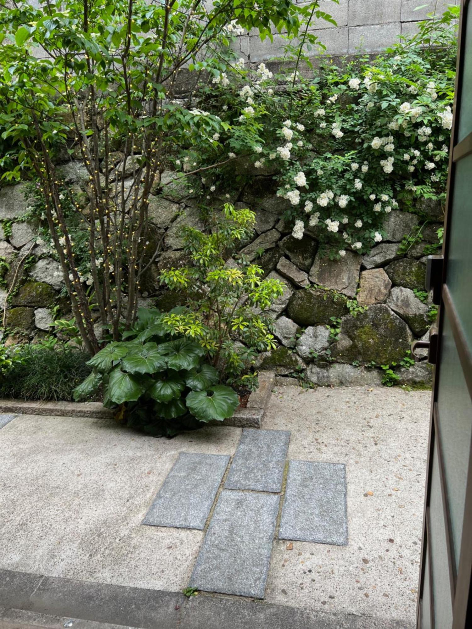 Imakumano Terrace - Mokubei An 木米庵 *