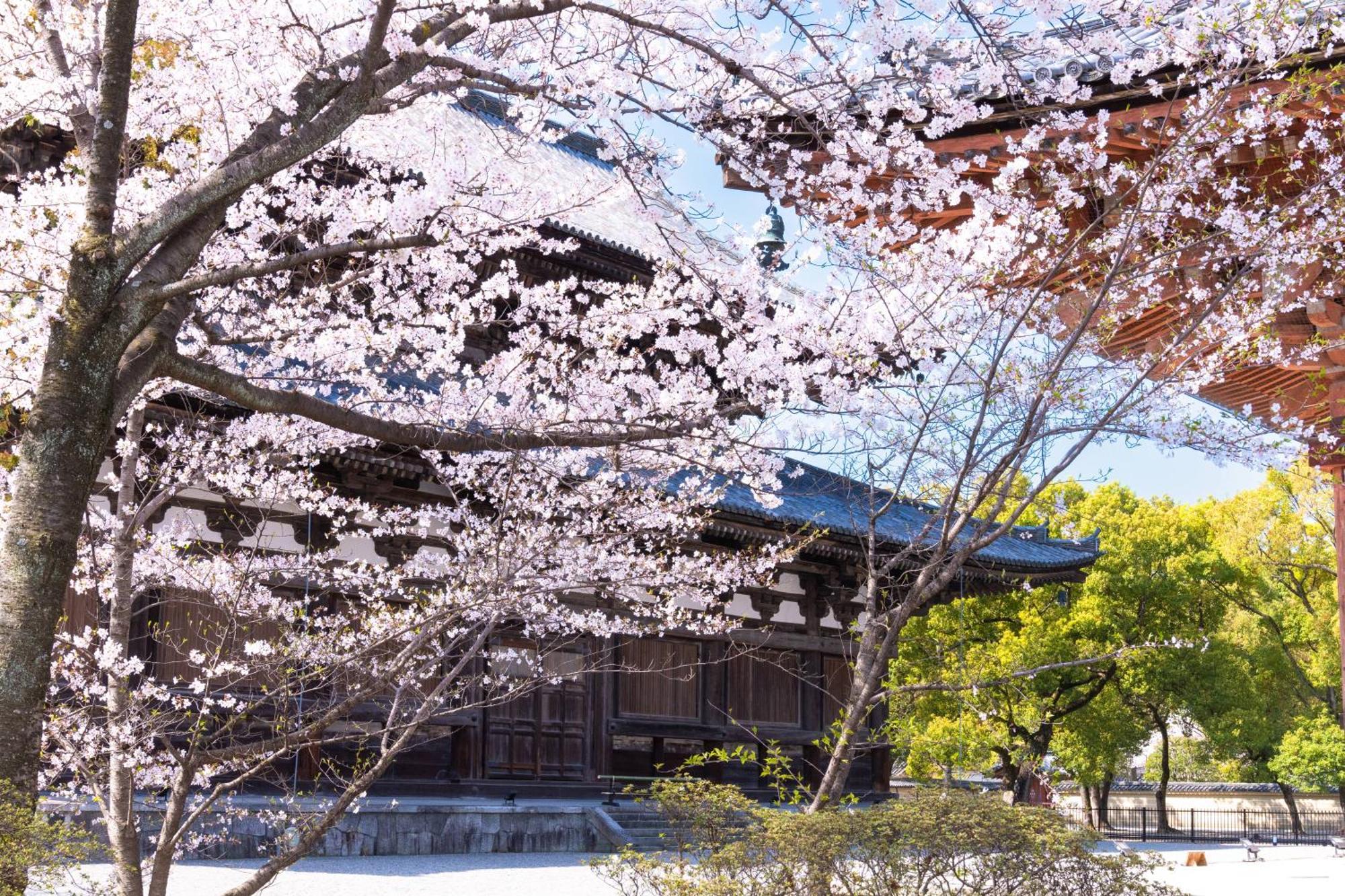 Omo3 Toji By Hoshino 3* Kyoto