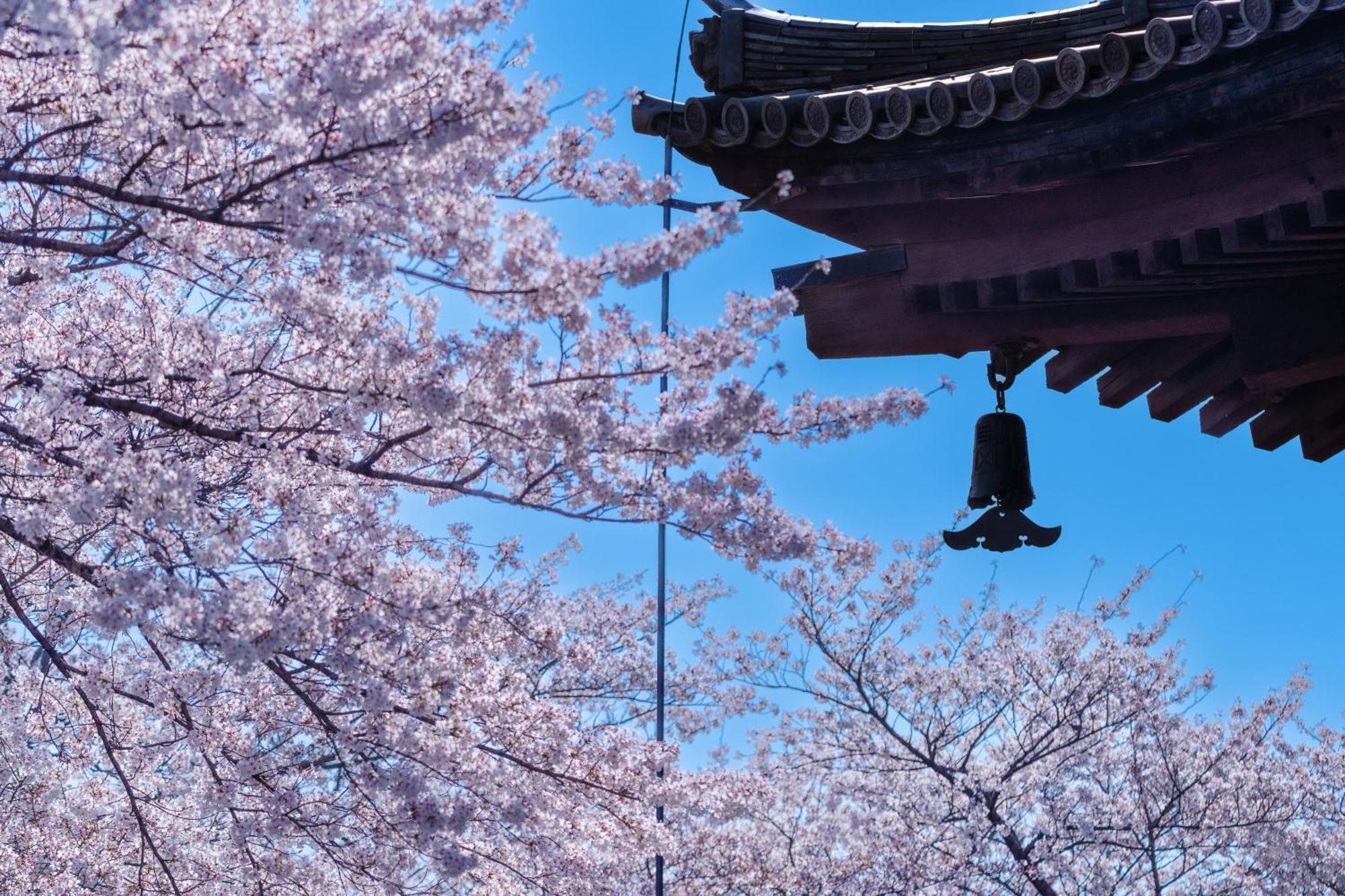 Omo3 Toji By Hoshino 3* Kyoto