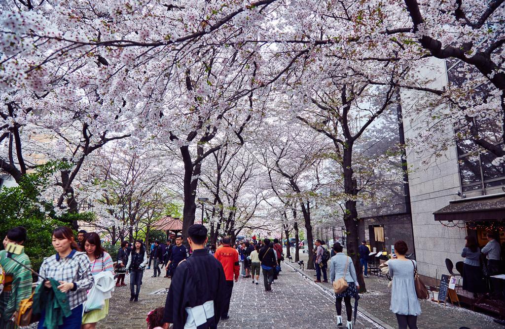 Hana-touro Yasakano-tou Machiya Premium *