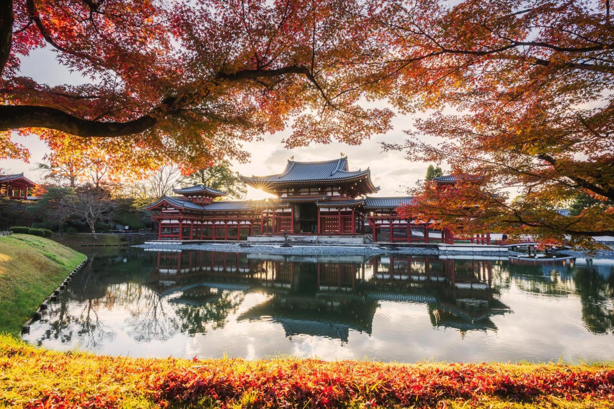 Omo5 Sanjo By Hoshino