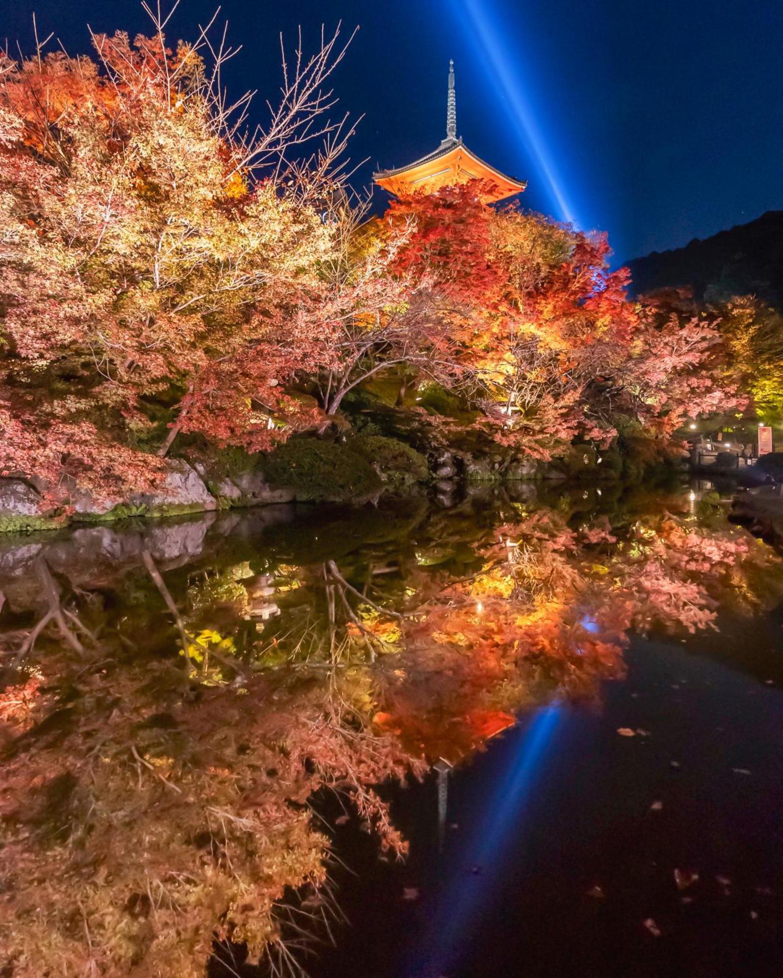 Omo5 Sanjo By Hoshino