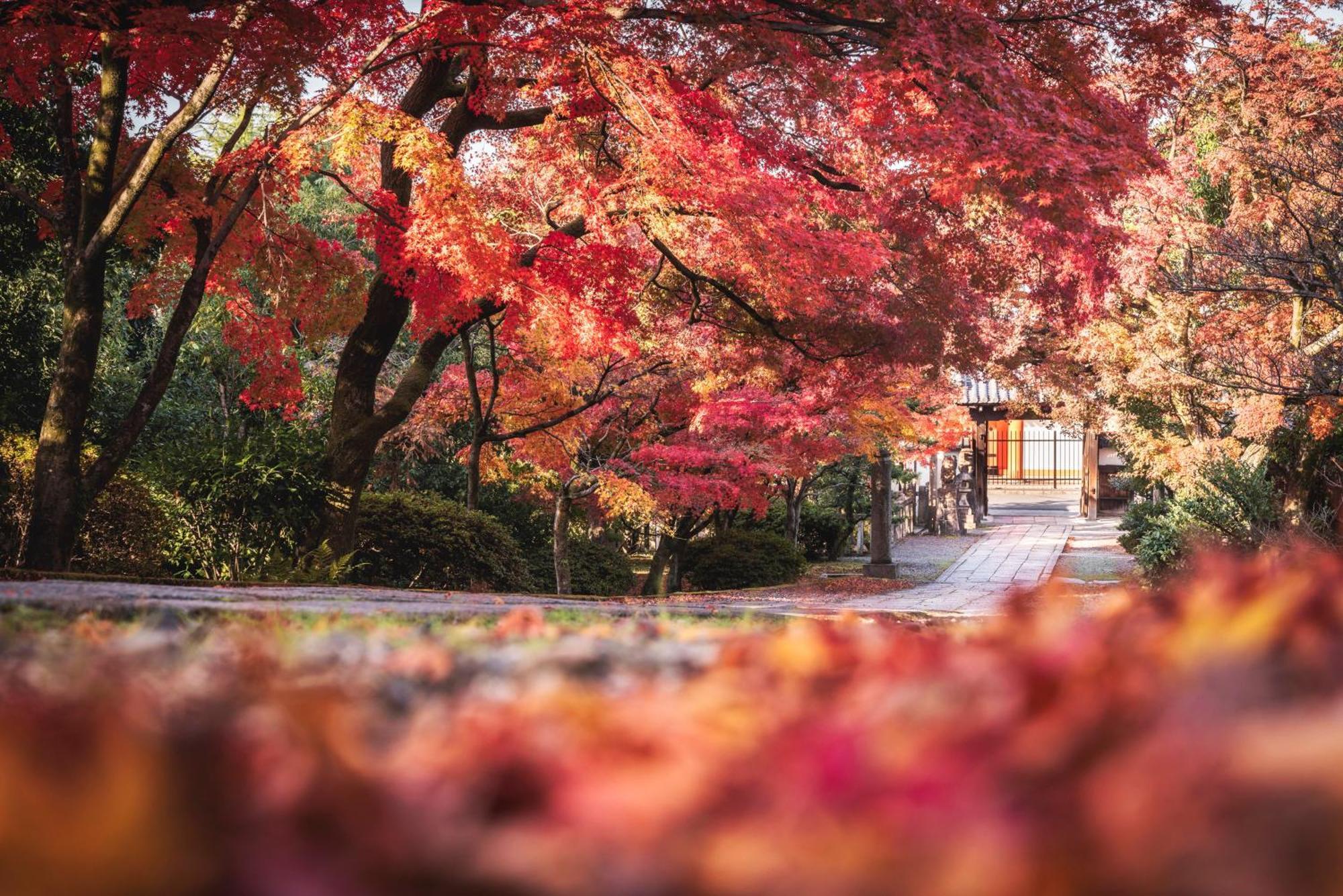 Omo3 Toji By Hoshino 3* Kyoto
