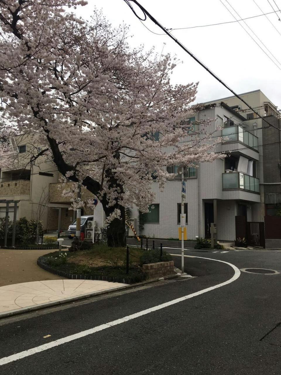 Apartment Lanlan Kyoto