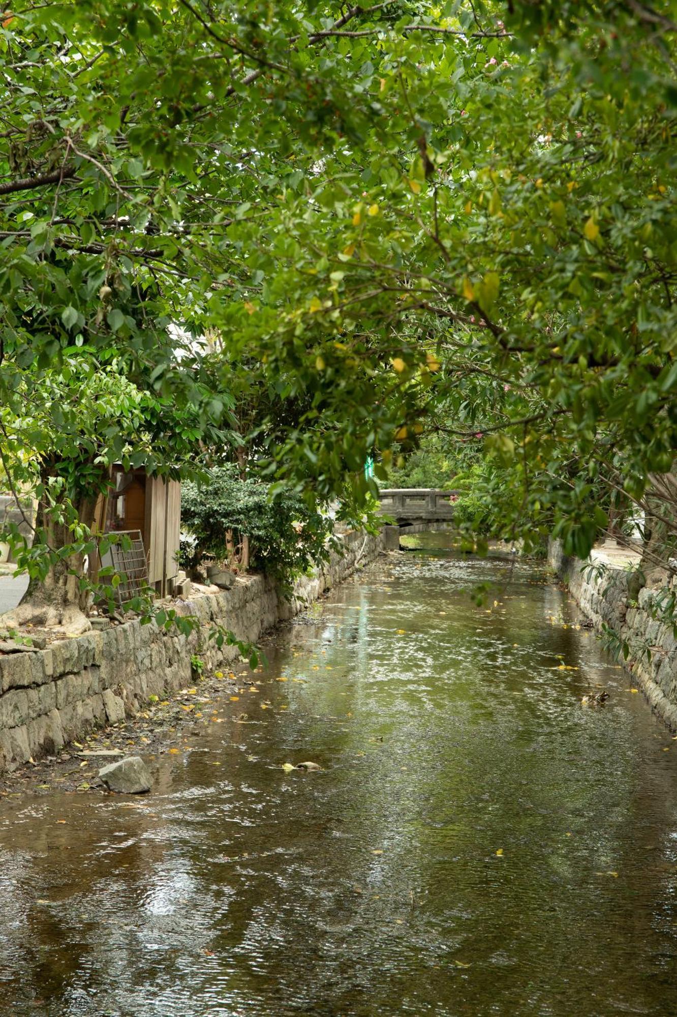 初音 * Kyoto