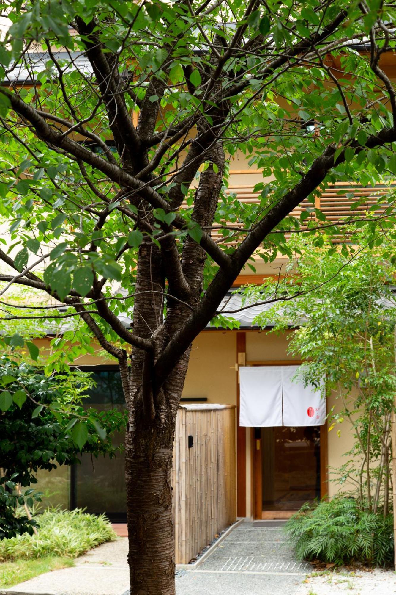 初音 Kyoto
