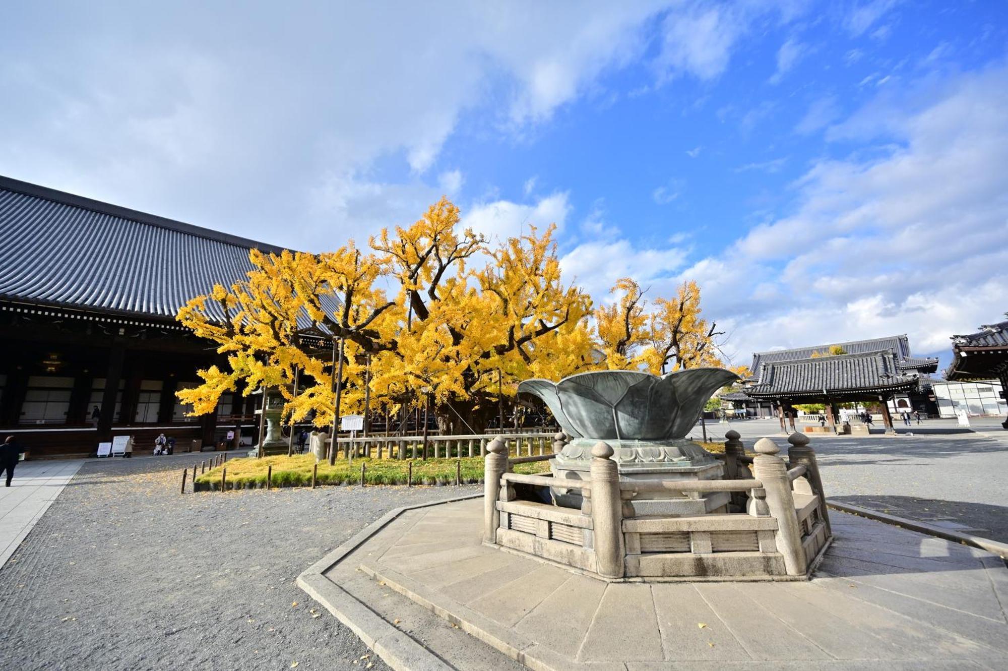 櫛笥ノ家 Machiya Kushige Kyoto