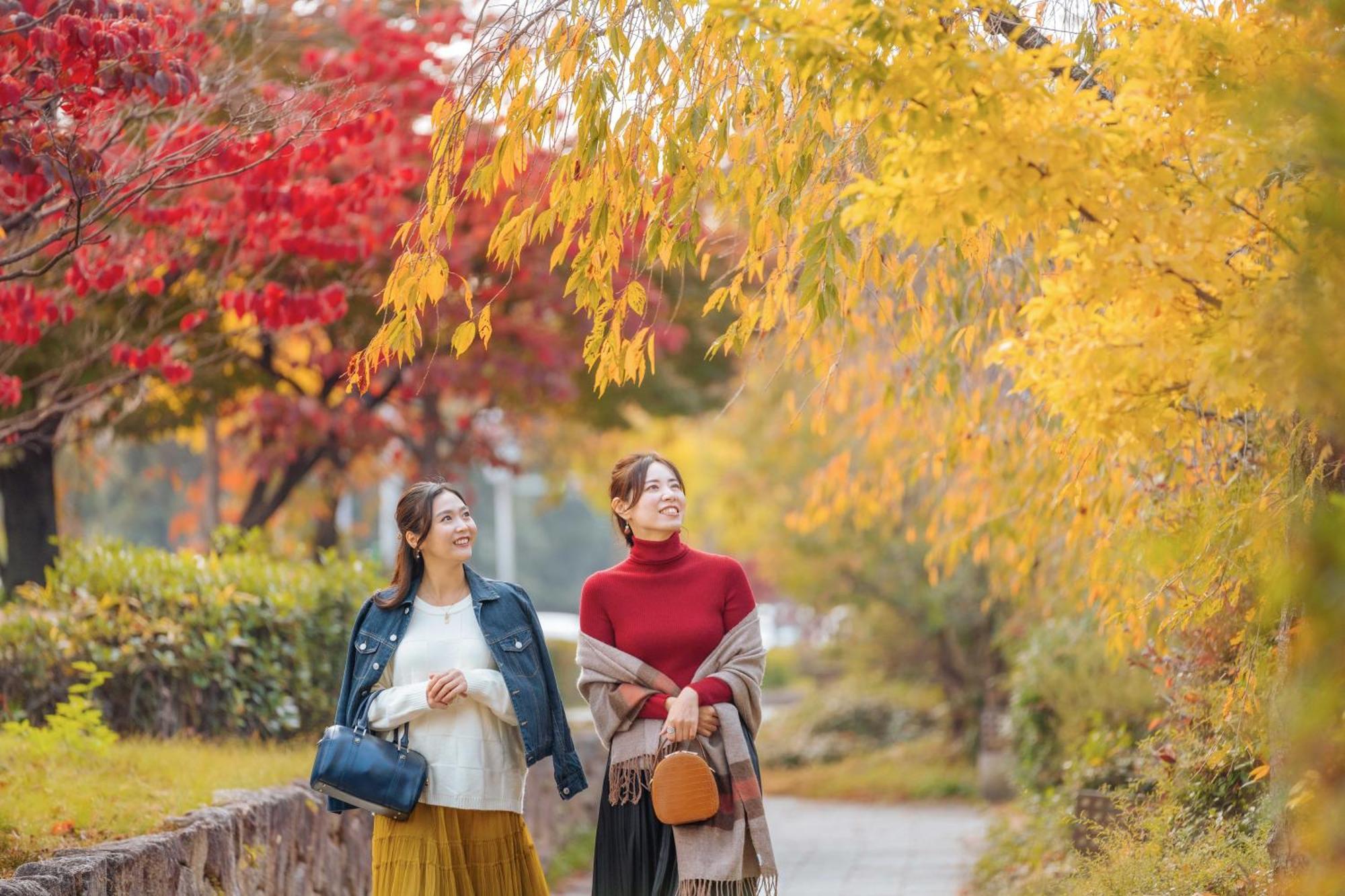 Omo5 Sanjo By Hoshino 4* Kyoto