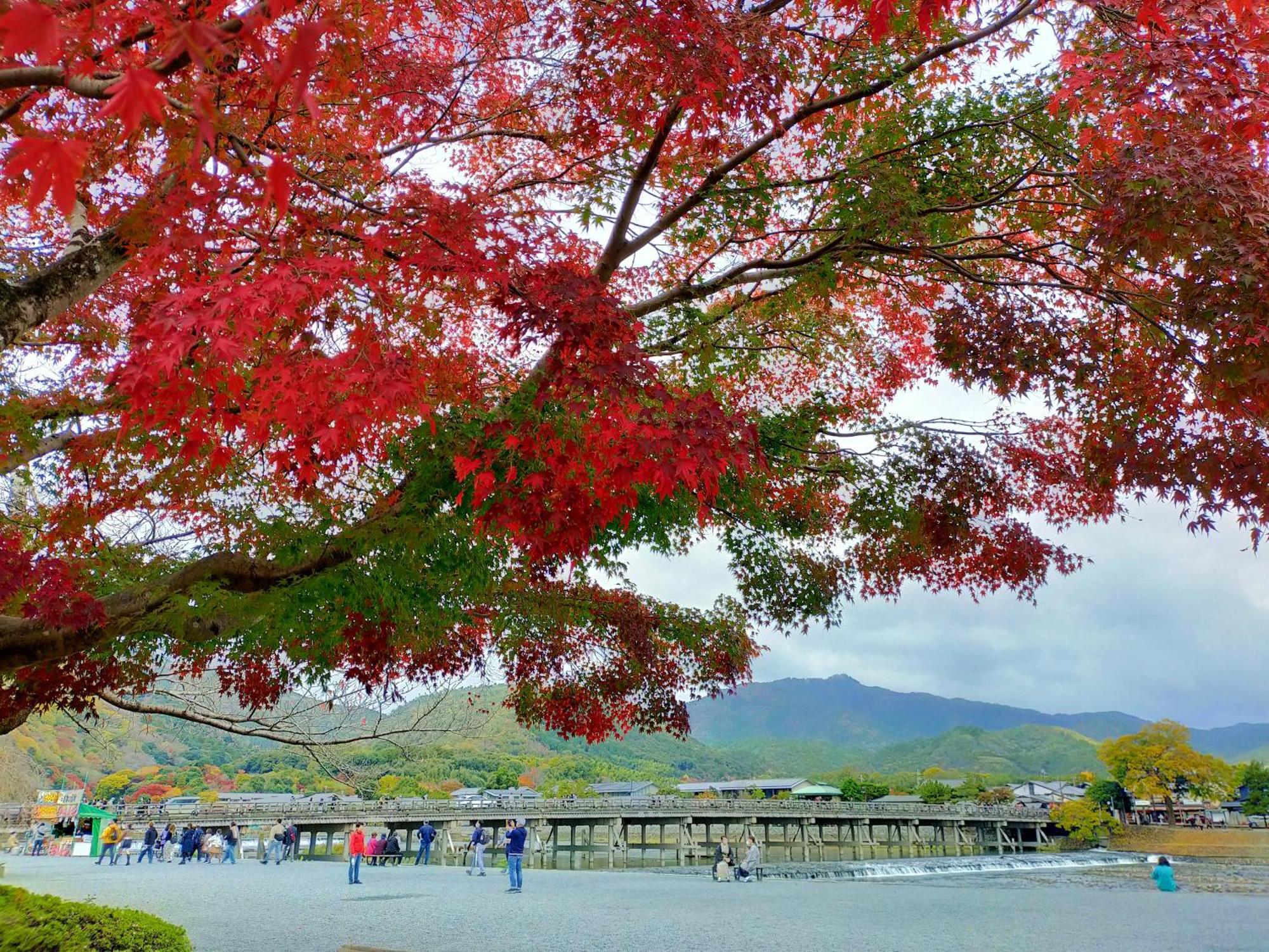 Kadensho, Arashiyama Onsen, - Kyoritsu Kyoto