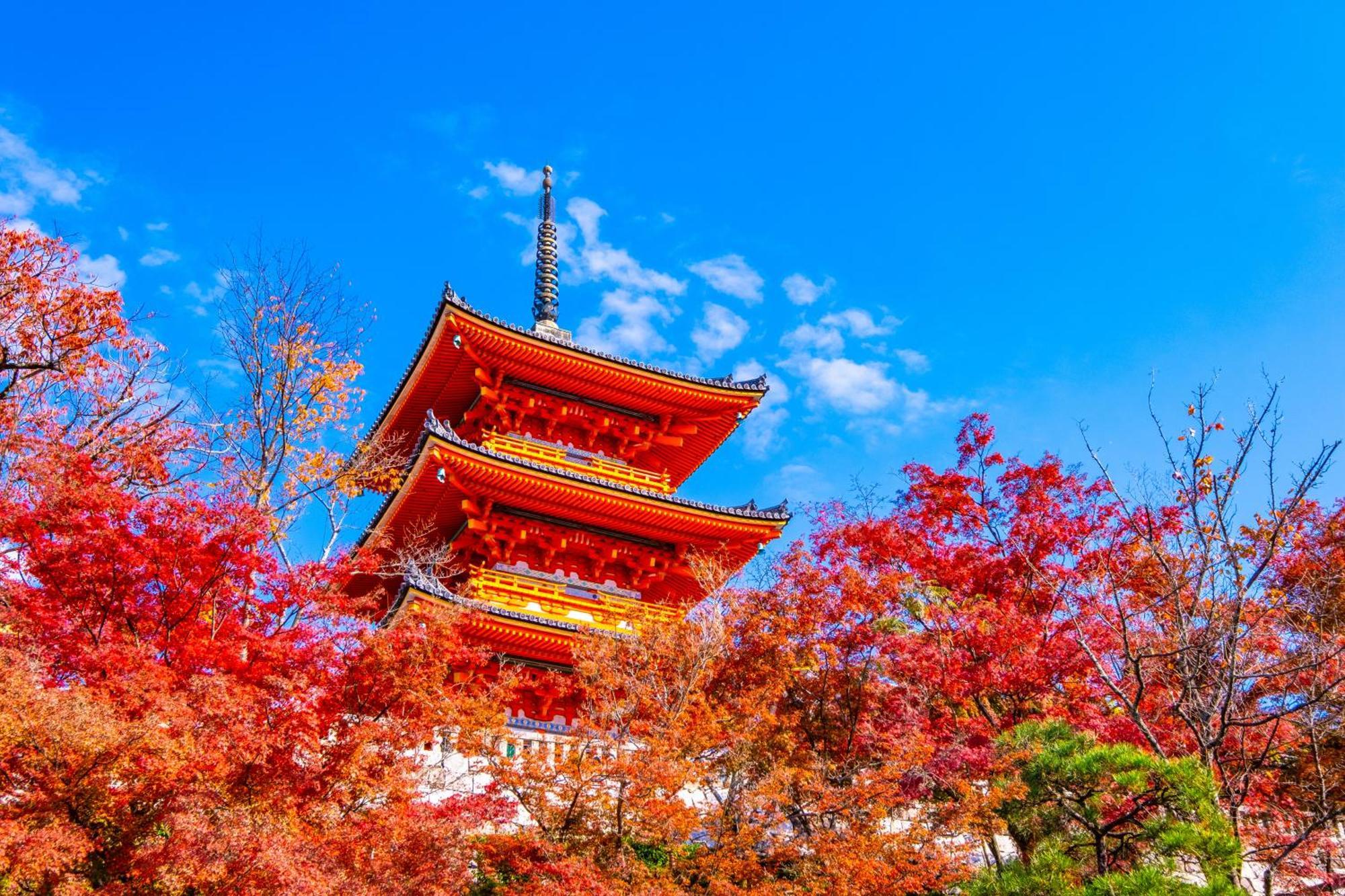 Hotel Tokyu Sanjo-karasuma Kyoto