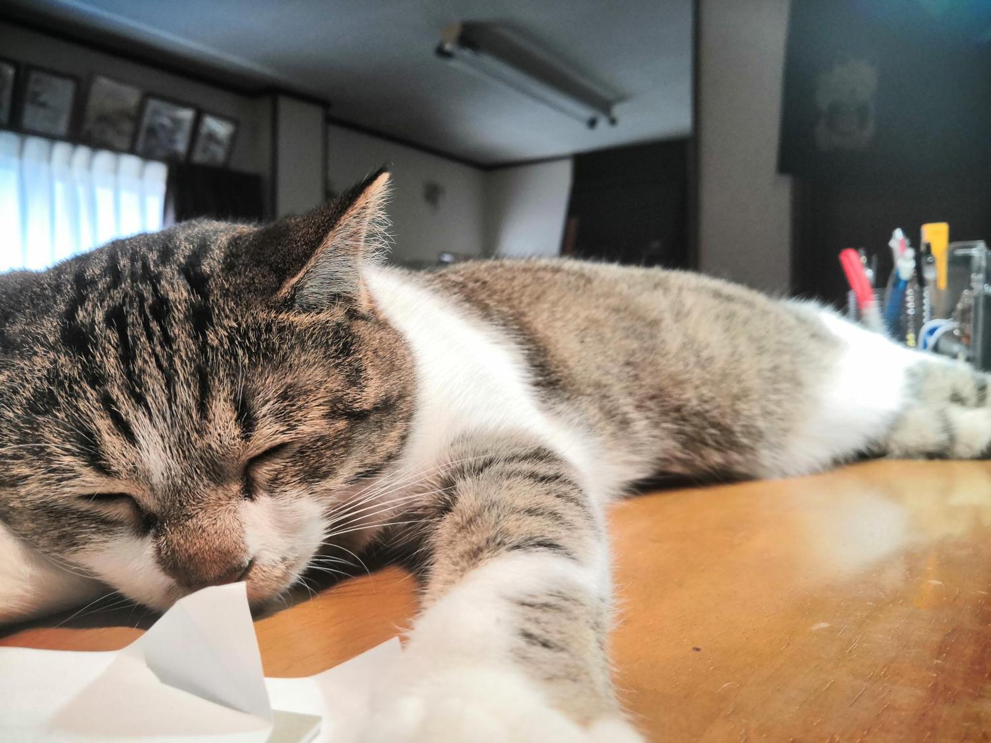 Tiny Umekoji 梅小路 Guest house 2*