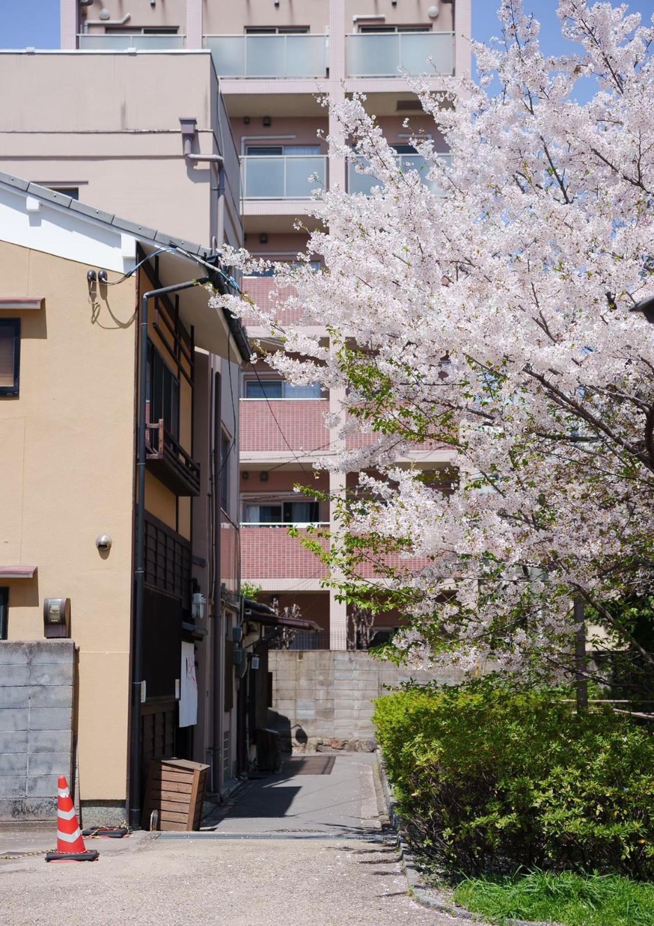 Konayuki Machiya 粉雪の宿 5min Walk From St Villa *