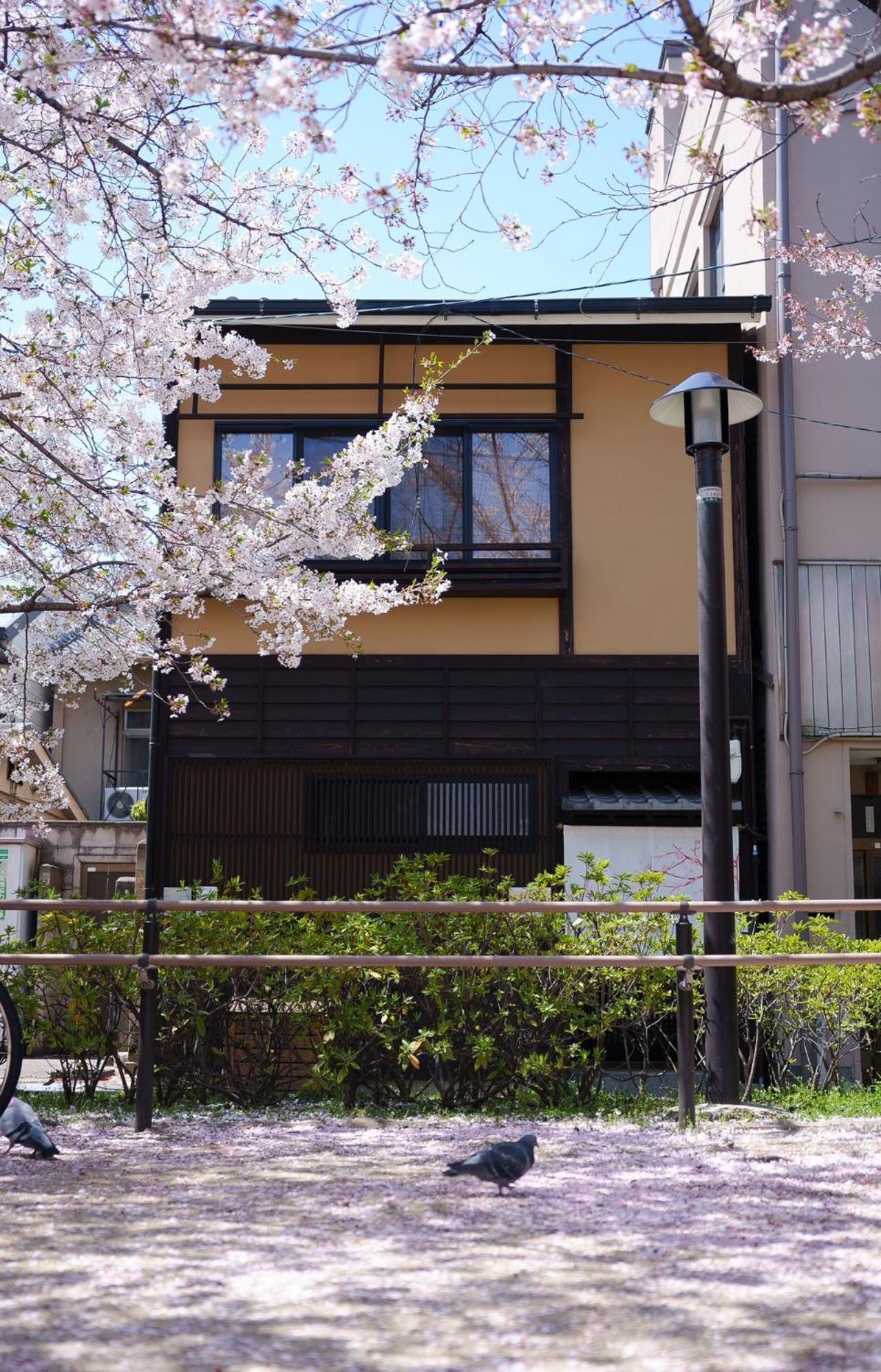 Villa Konayuki Machiya 粉雪の宿 5min Walk From St *
