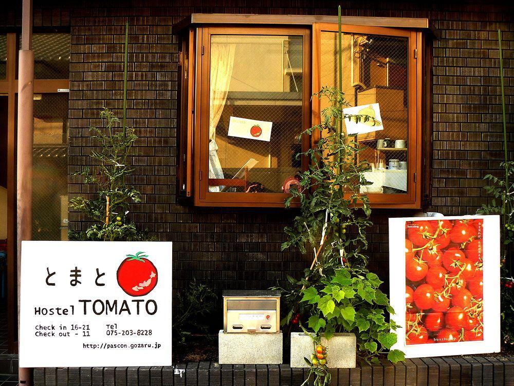 Tomato Station