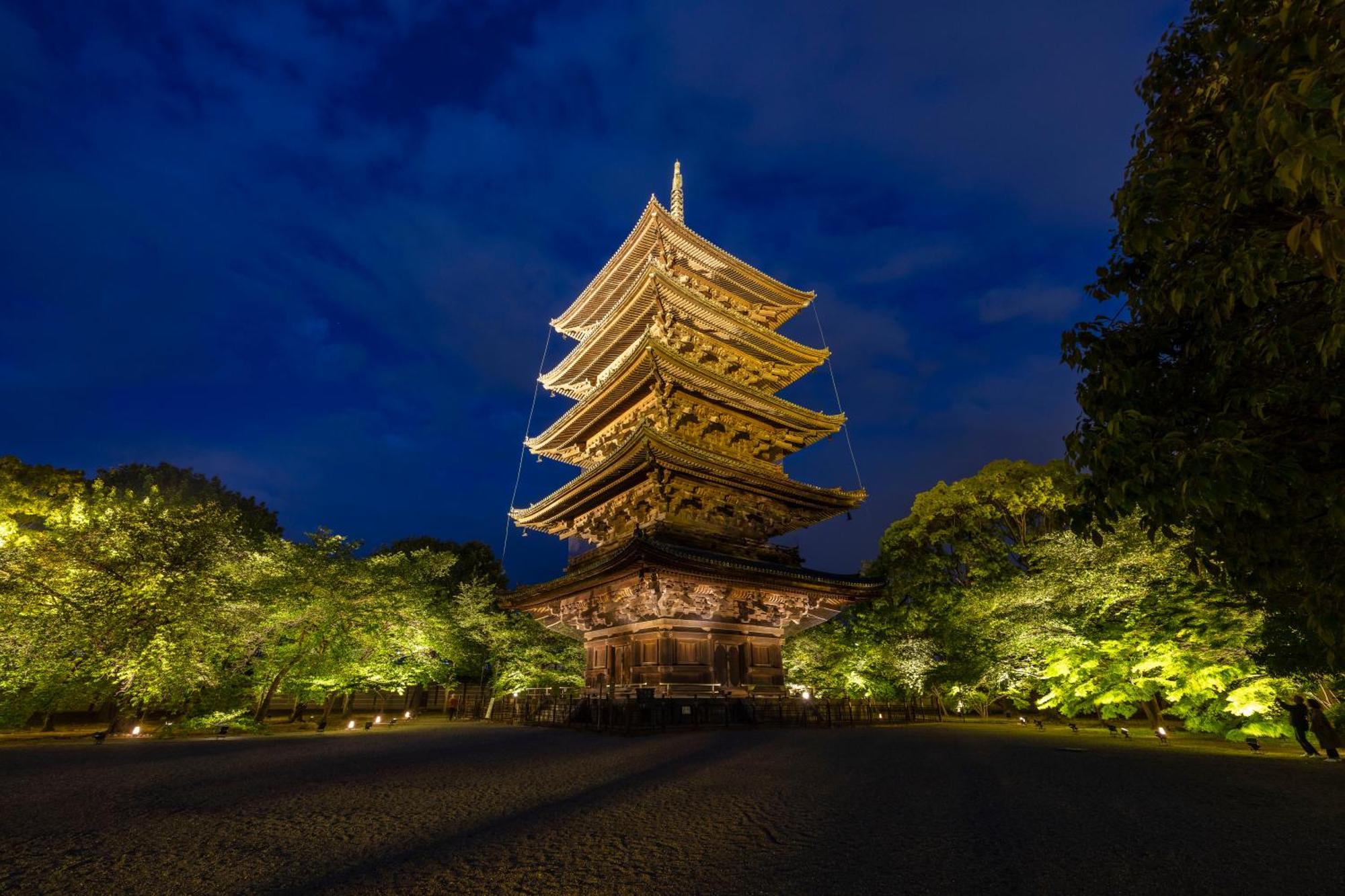 Omo3 Toji By Hoshino 3*