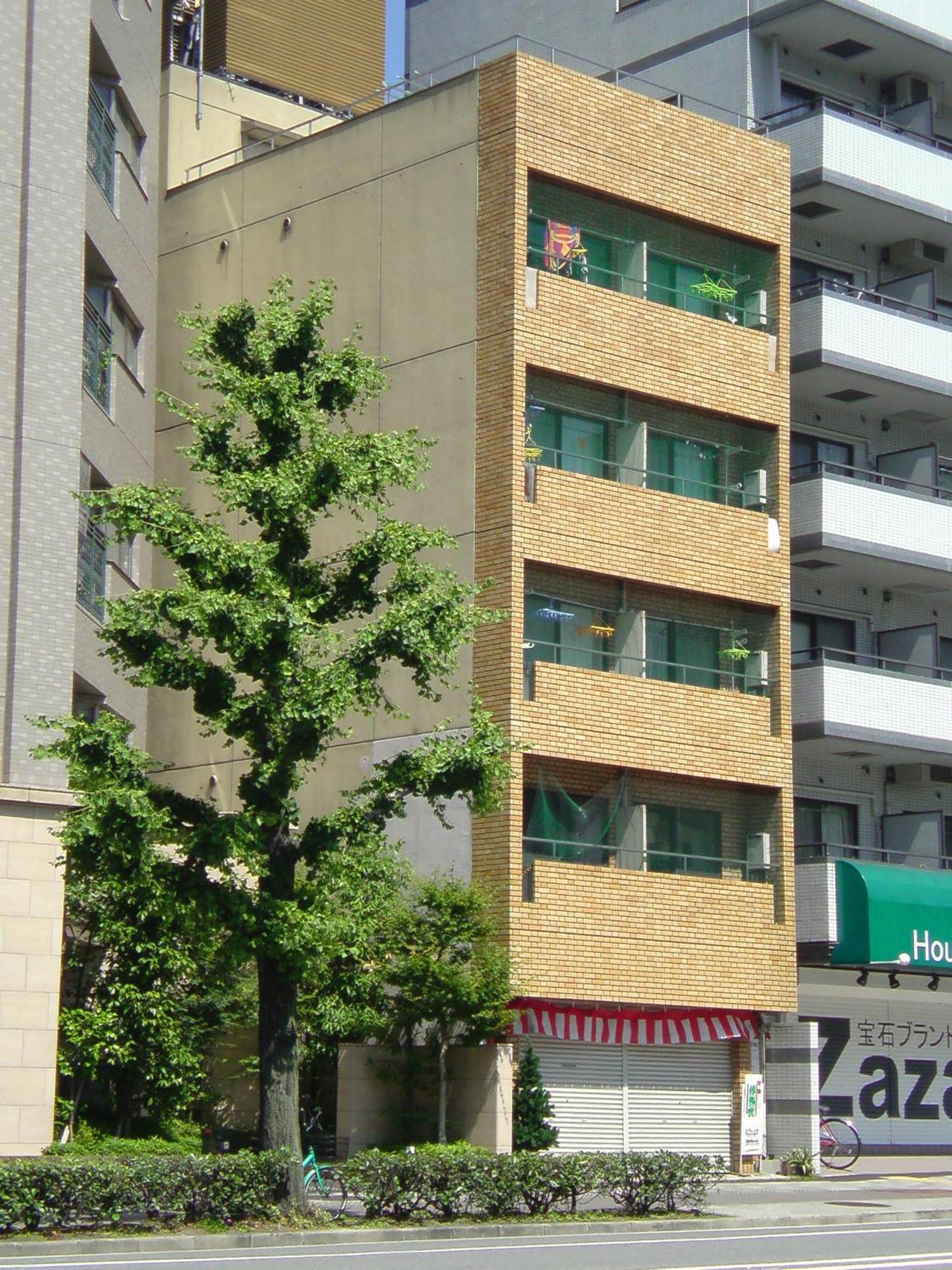 Ichijyo Ivy Kyoto