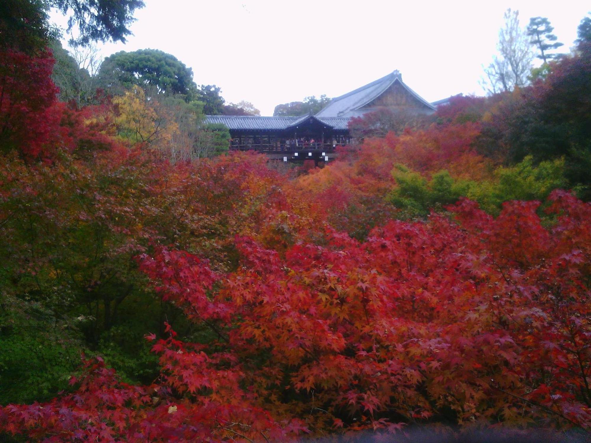 Ryokan Kamuroan