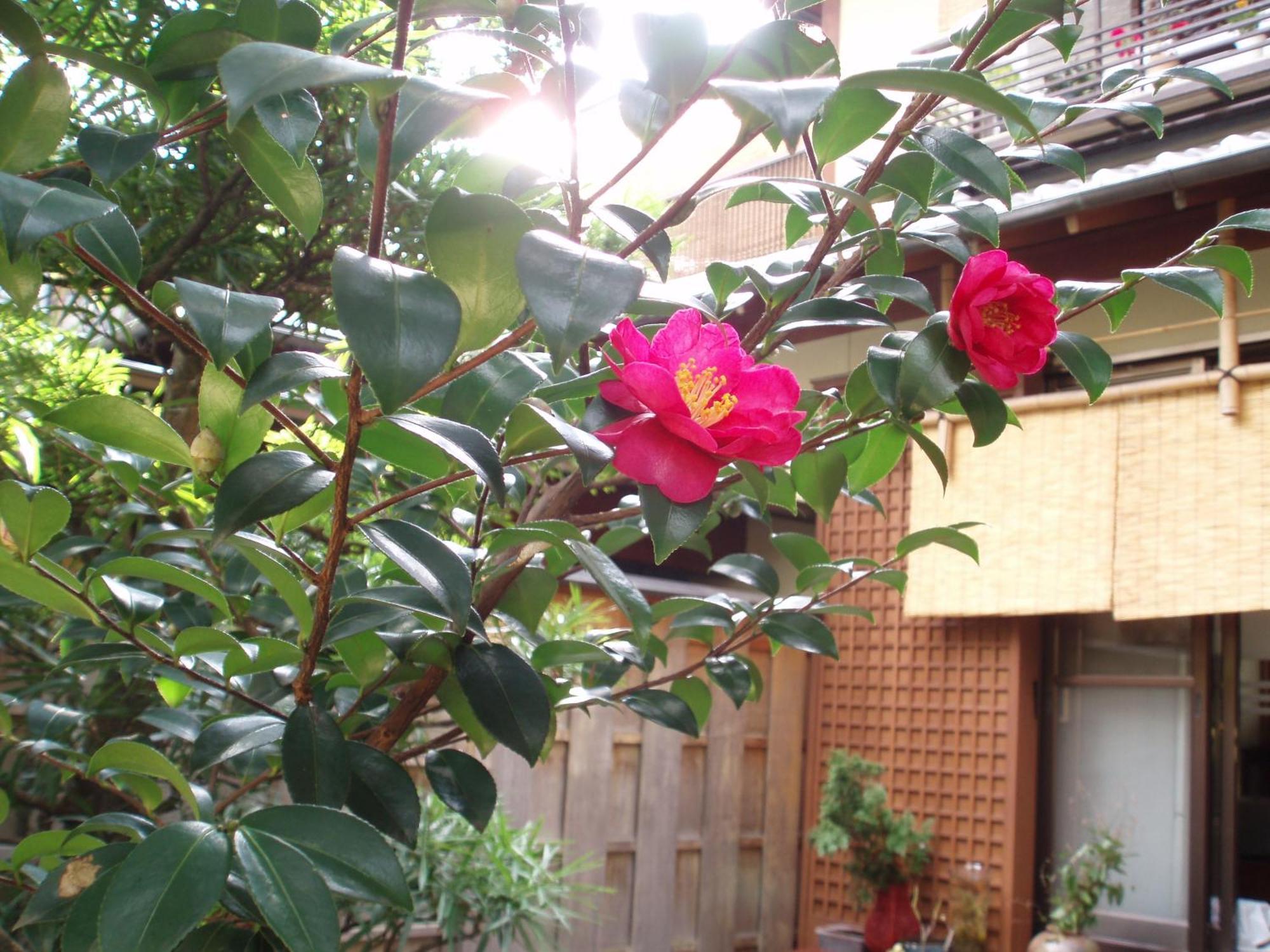 Ryokan Kamuroan