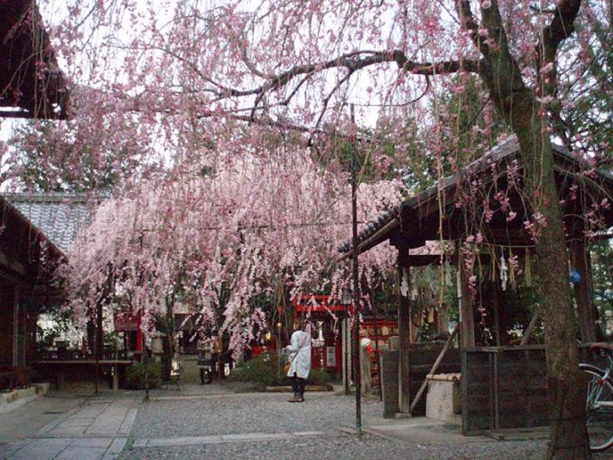 Ryokan Kamuroan Kyoto
