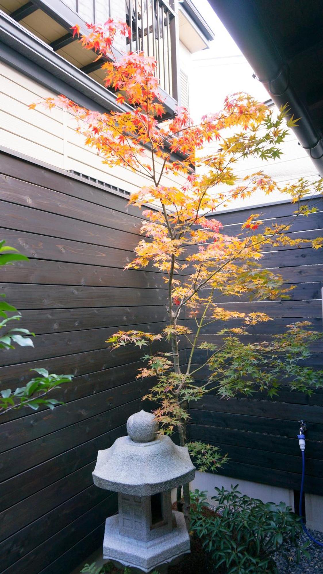 Holiday home Yori Toya / Vacation 24393 Kyoto