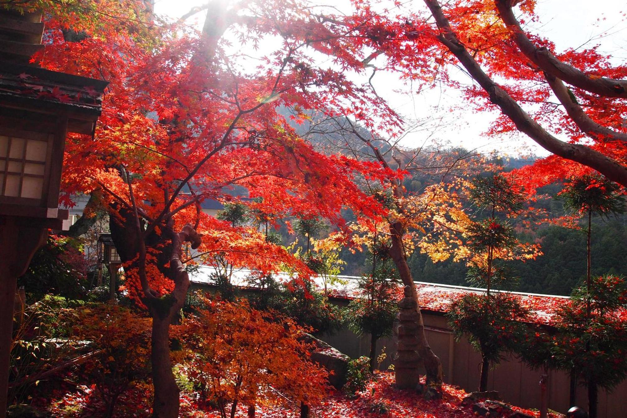 Nenrinbo 4* Kyoto