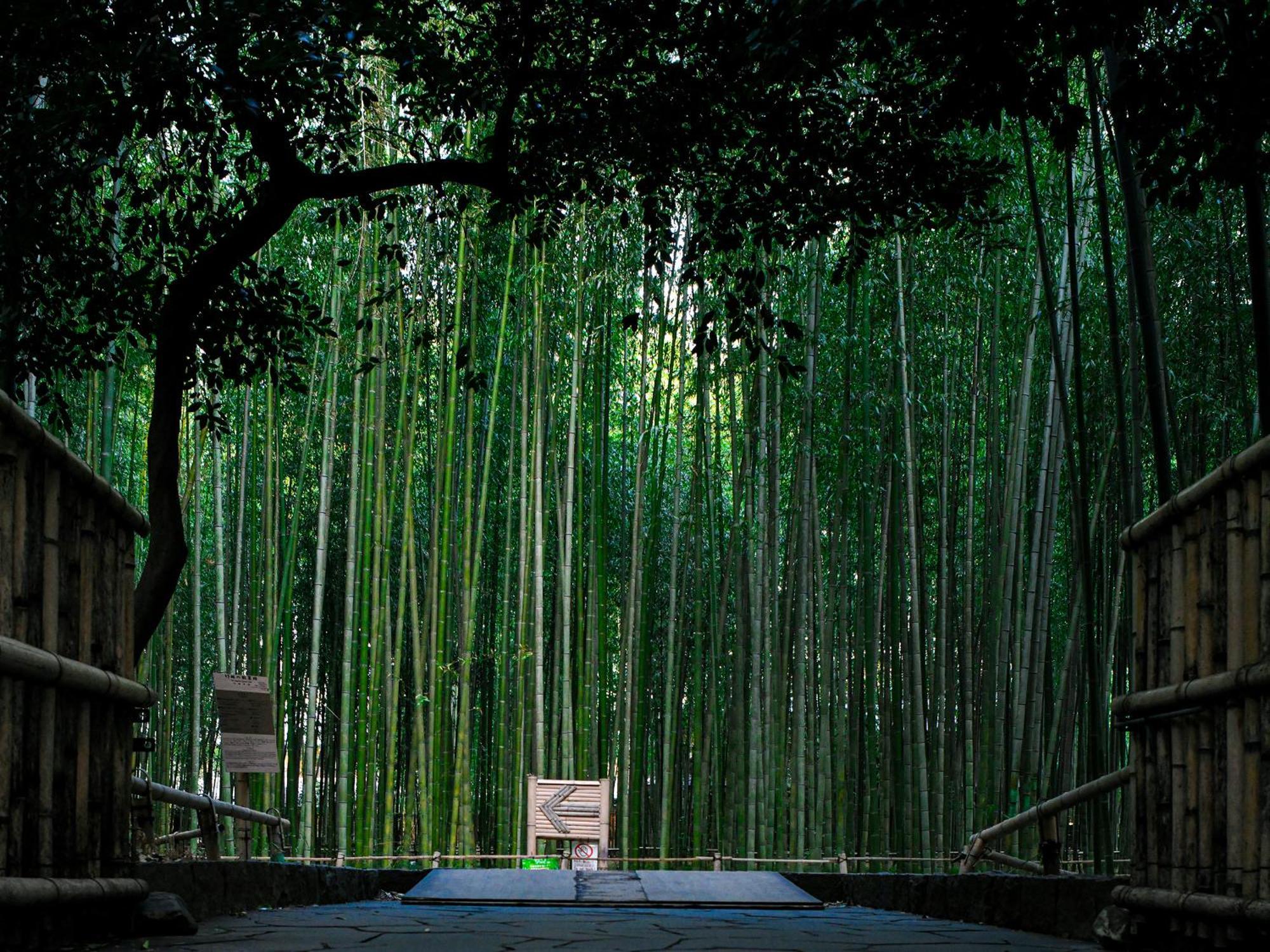 Ref Hachijoguchi By Vessel 4* Kyoto