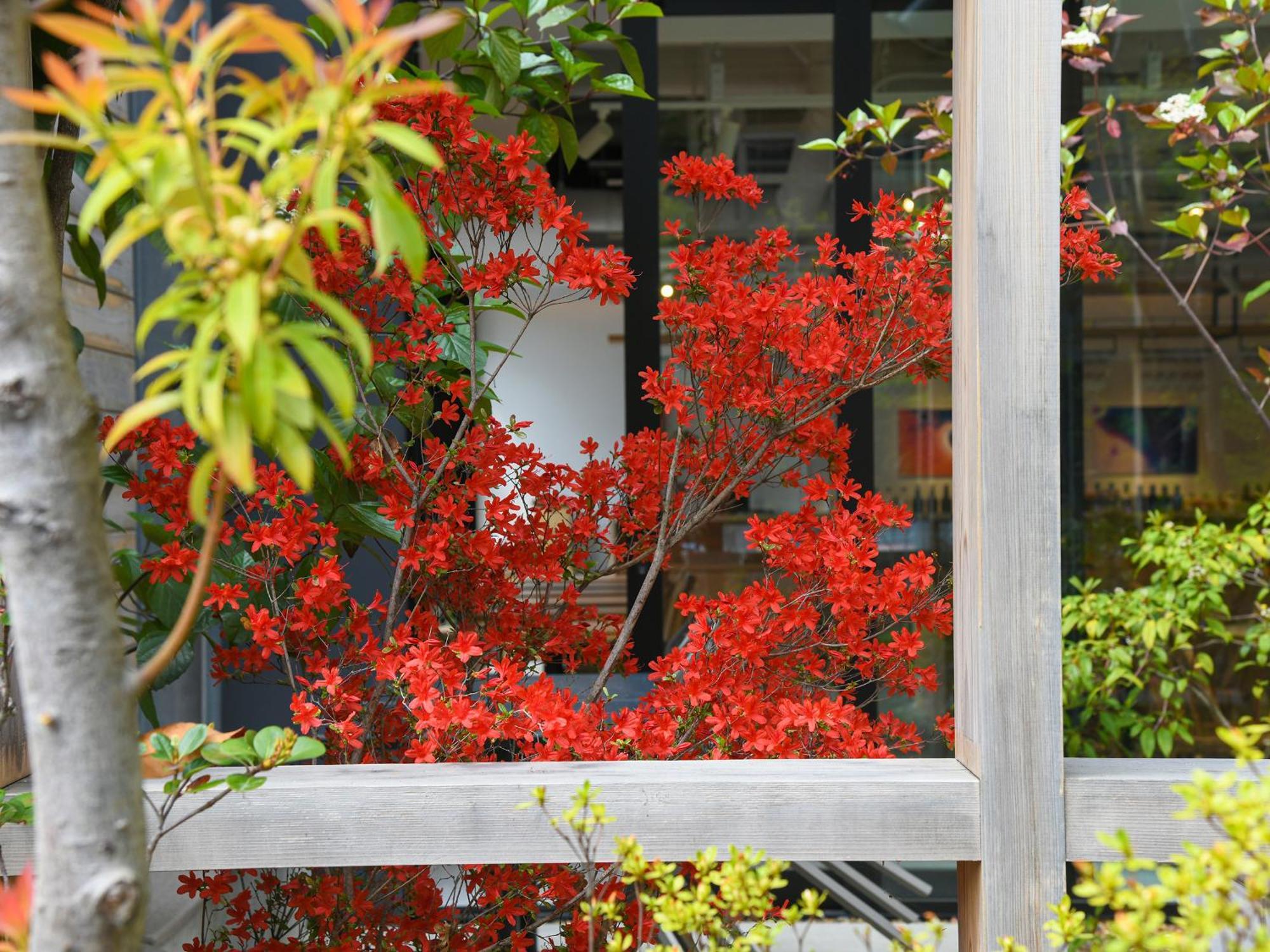 Ref Hachijoguchi By Vessel Hotel Kyoto