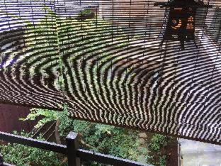 Gionkoh Guest house 2*