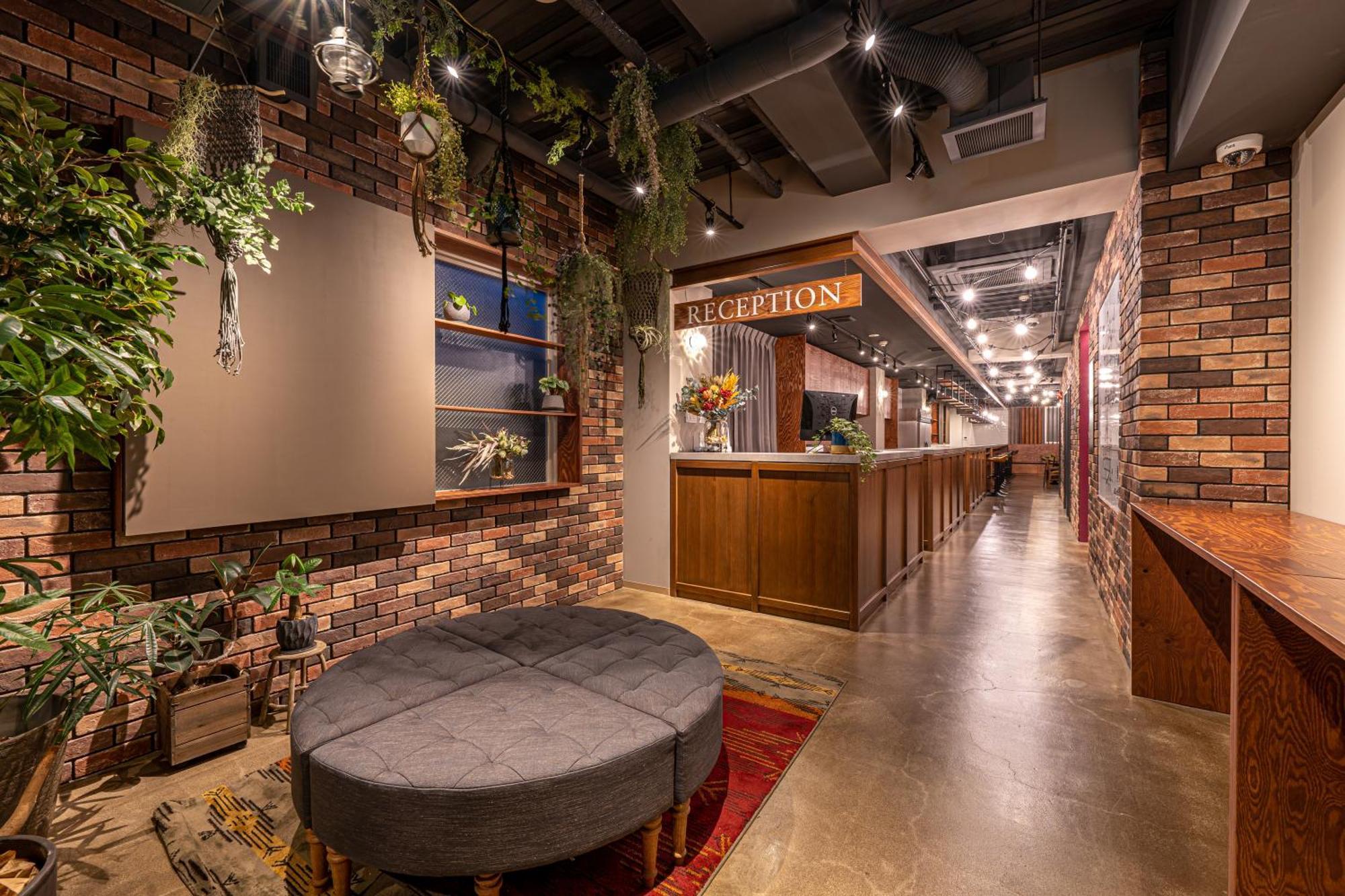 Wise Owl Hostel *