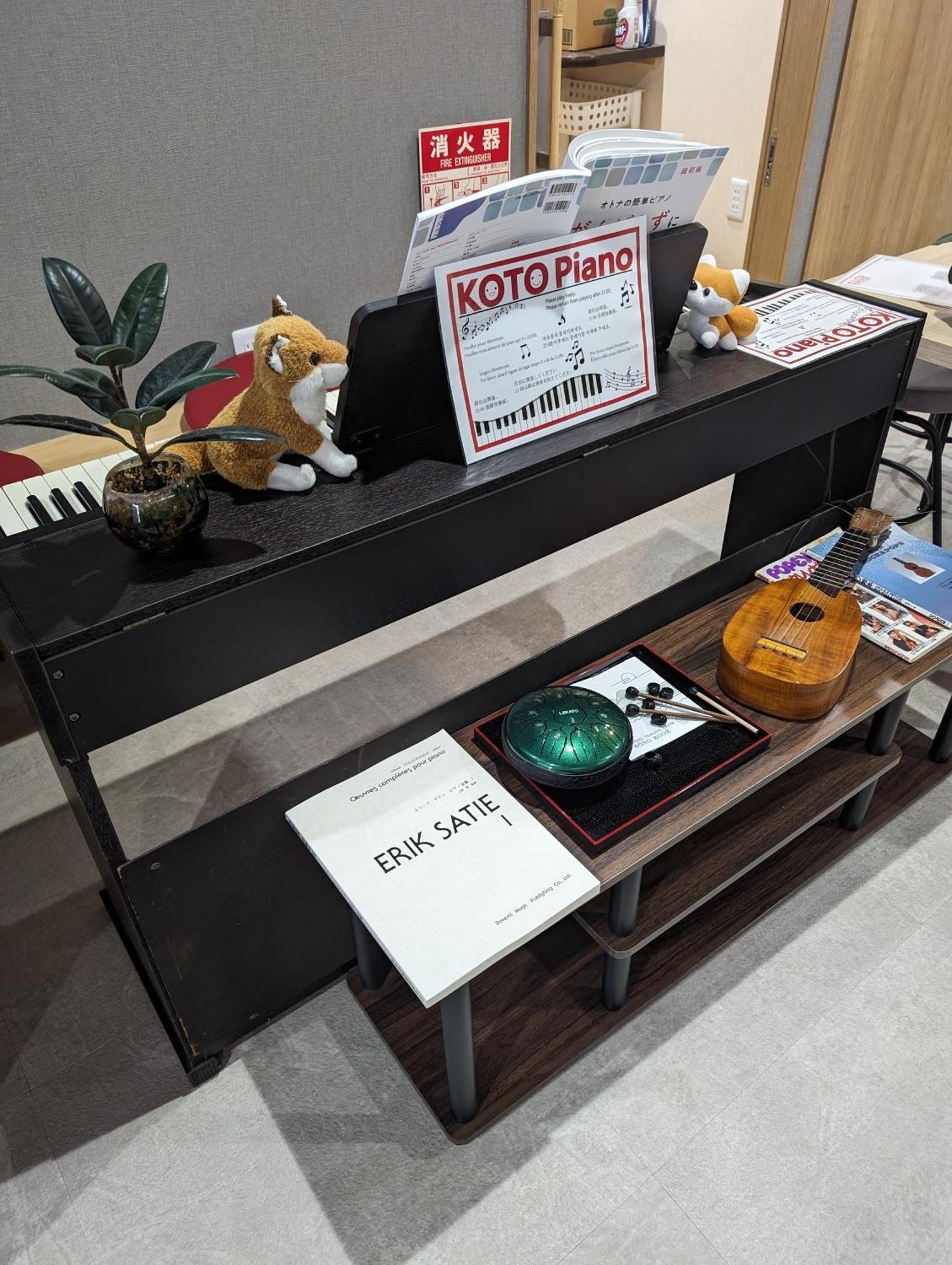 Koto * Kyoto