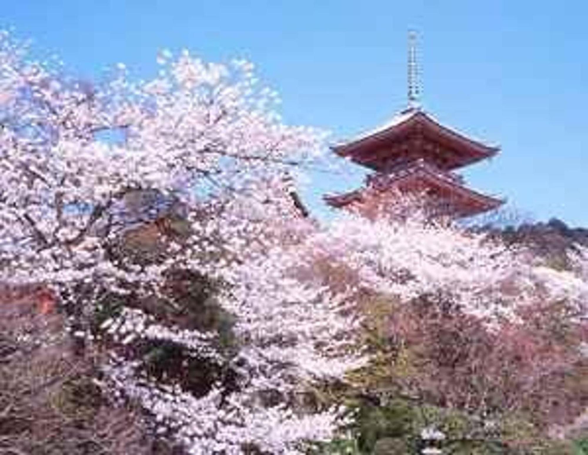 Demachiyanagi - Vacation 76317v * Kyoto