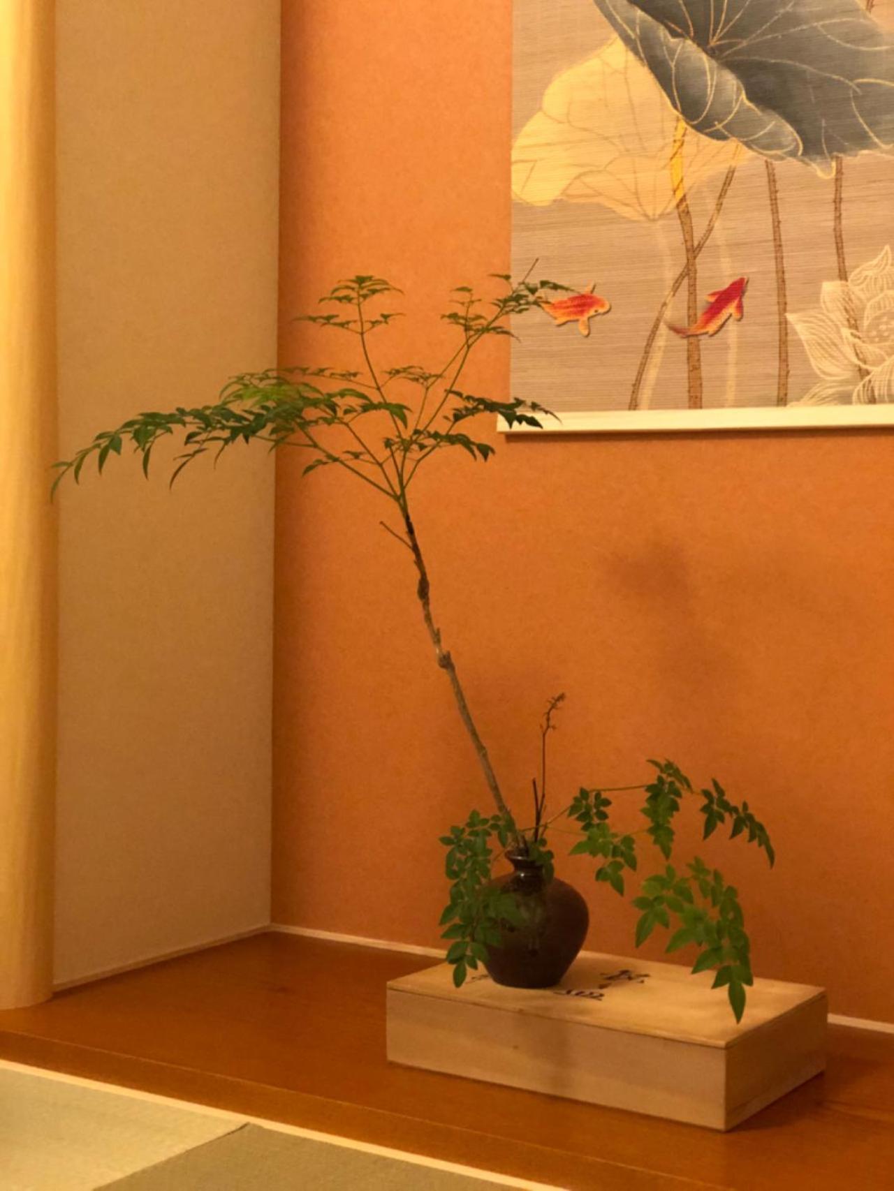 静雅の宿