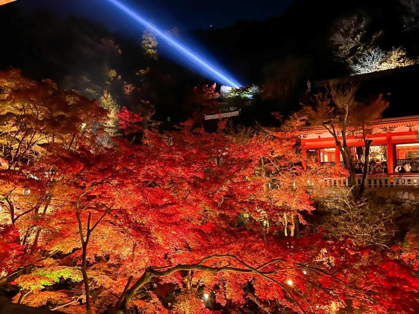 Rinn Gion Shirakawa 4*