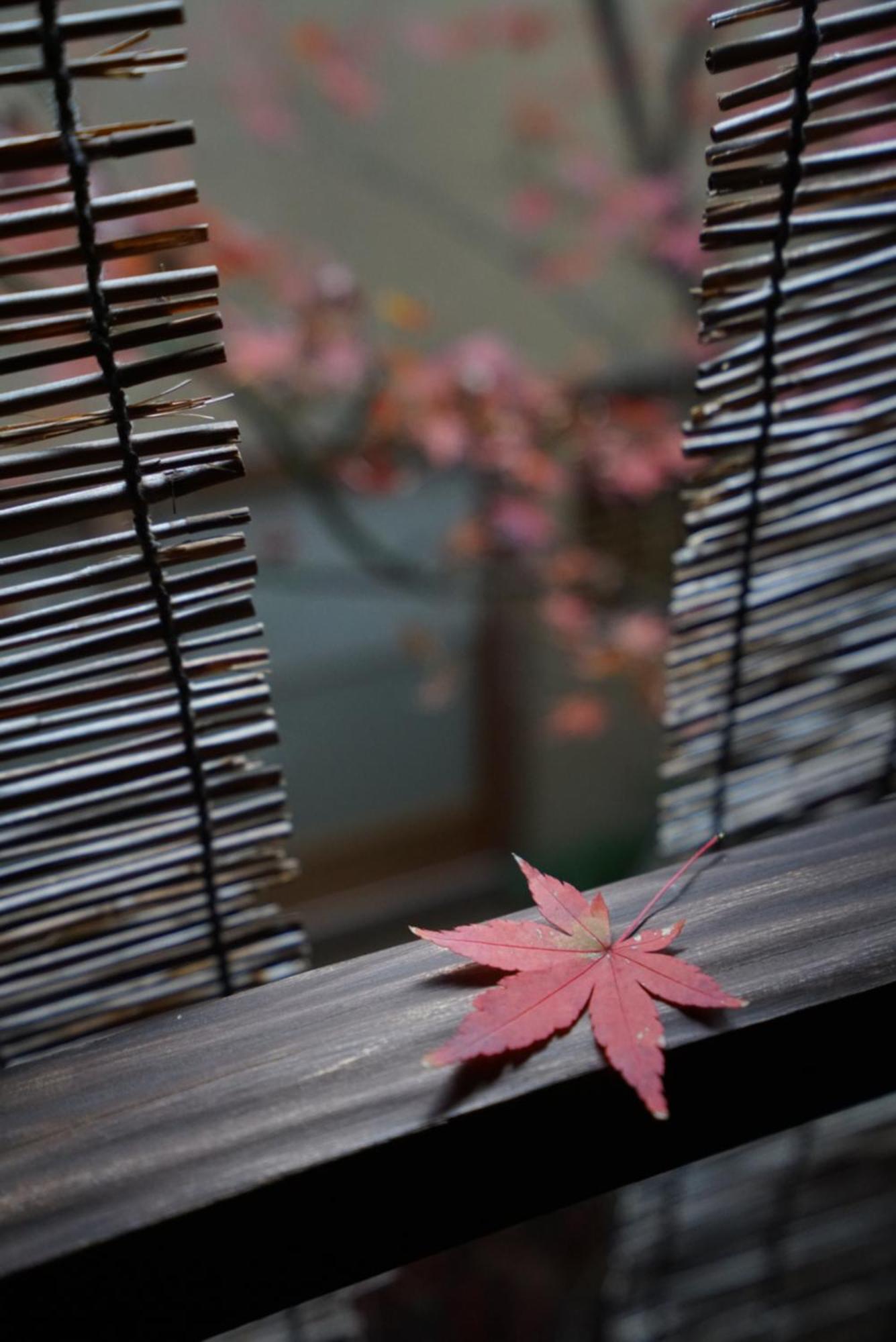 Tori 3* Kyoto