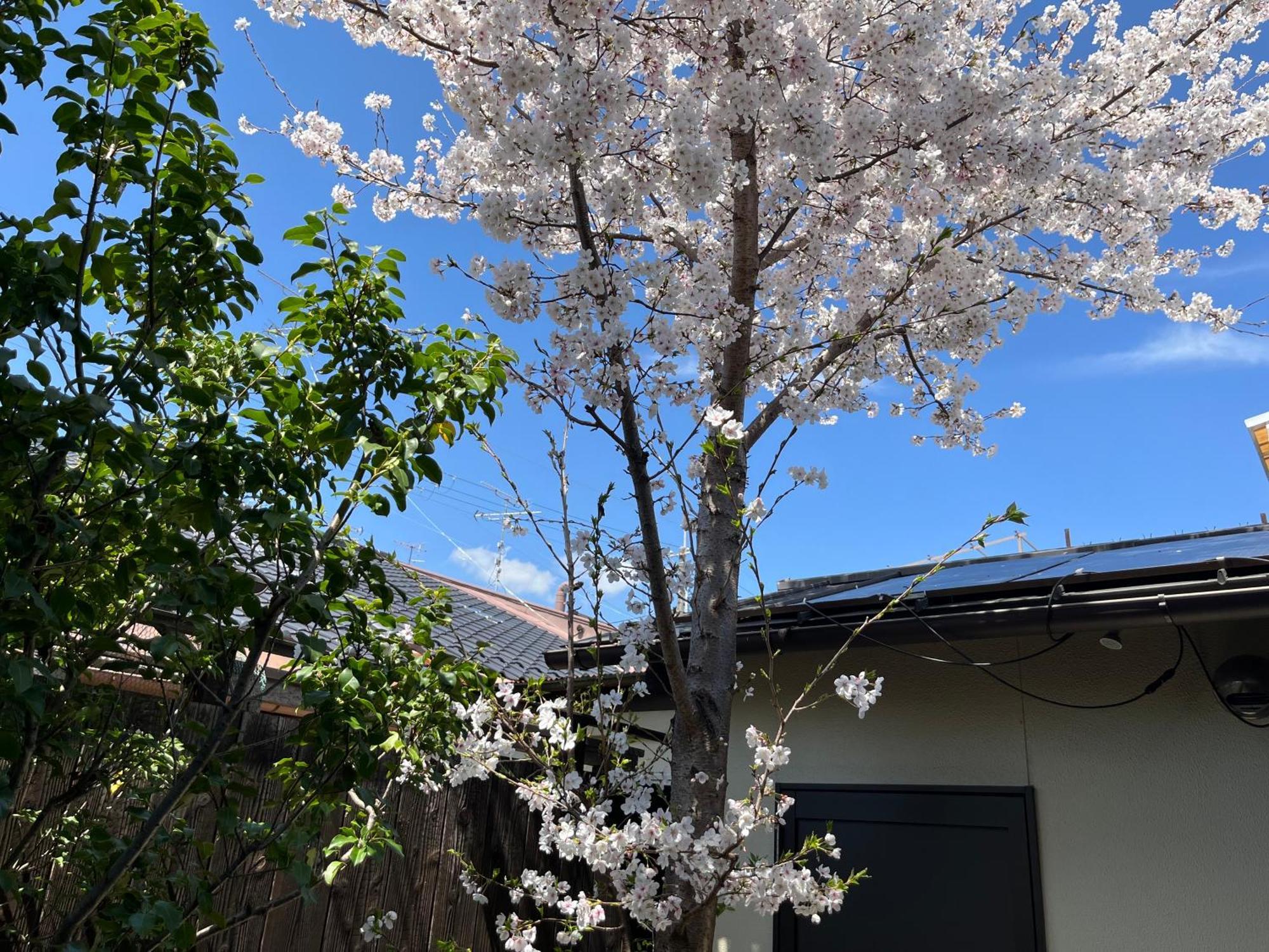Nishijin No Sato 西陣之郷 -100 Yrs Smart & Sustainable Ai Arthouse With 10gbps Wifi - Holiday home Kyoto
