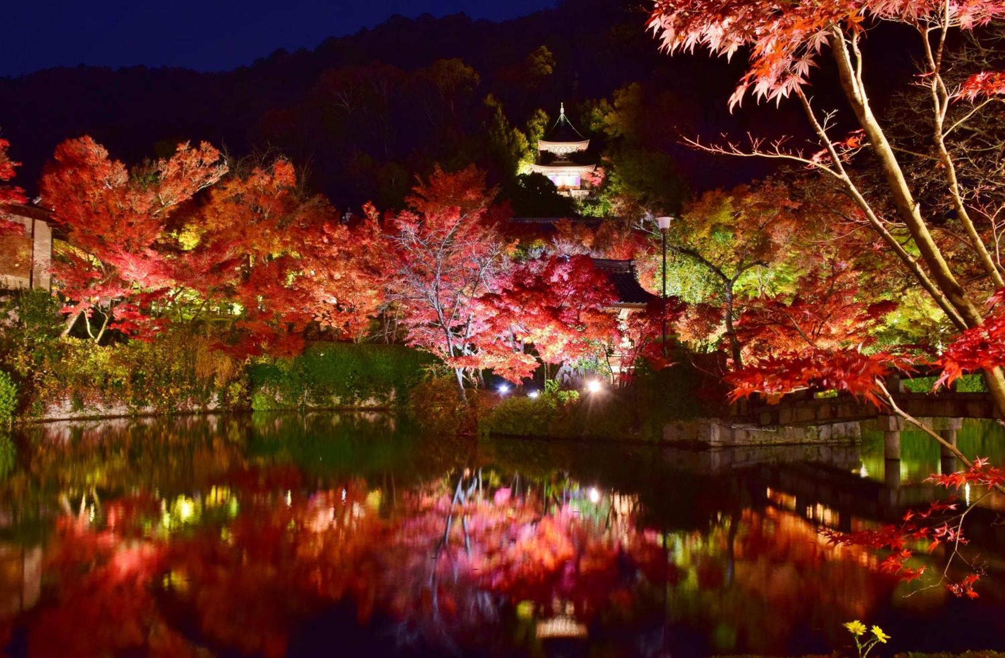 Ryokan Nanzenji Yachiyo Established In 1915 Kyoto
